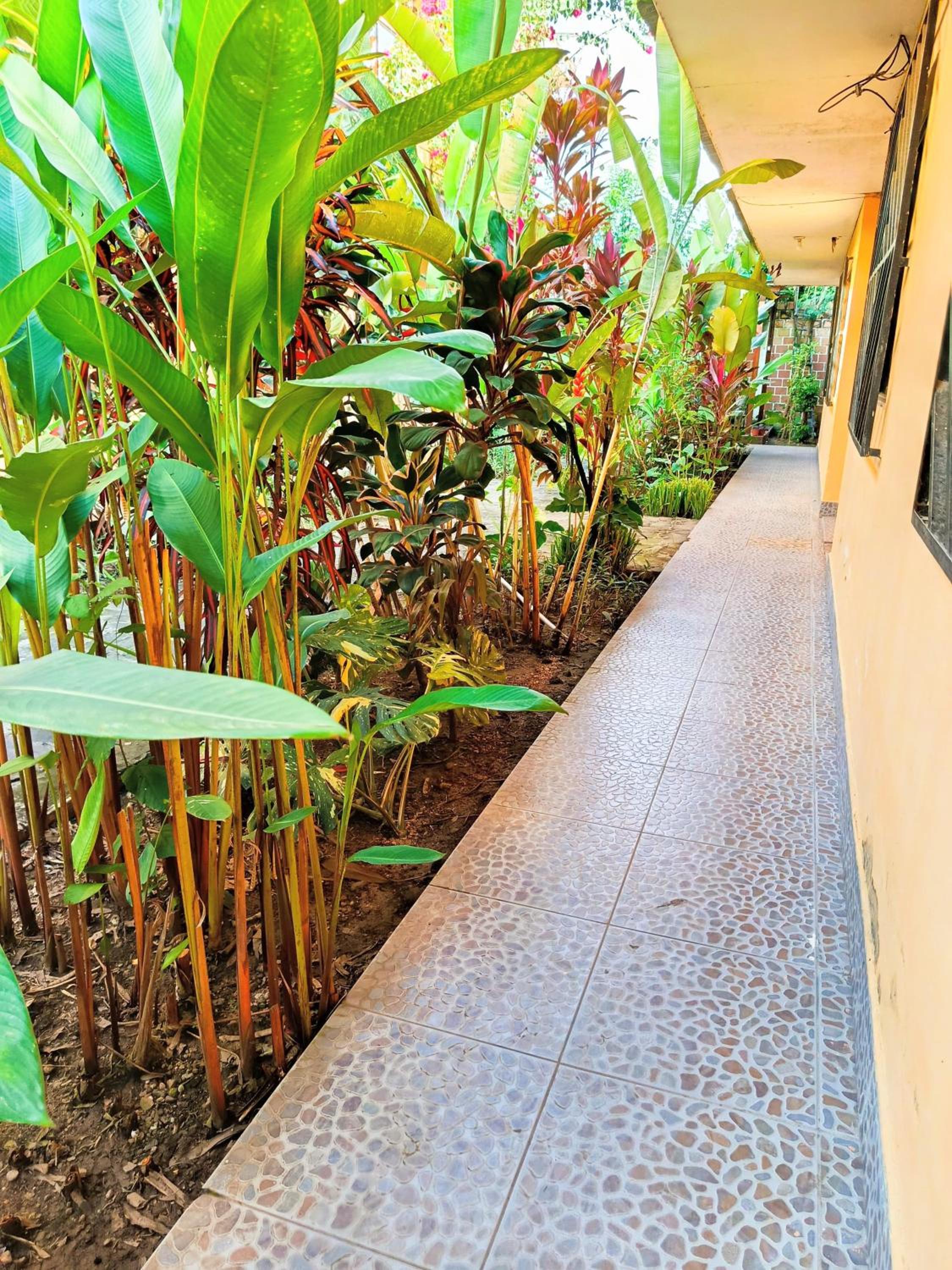 Bijao Hostel, photo 4