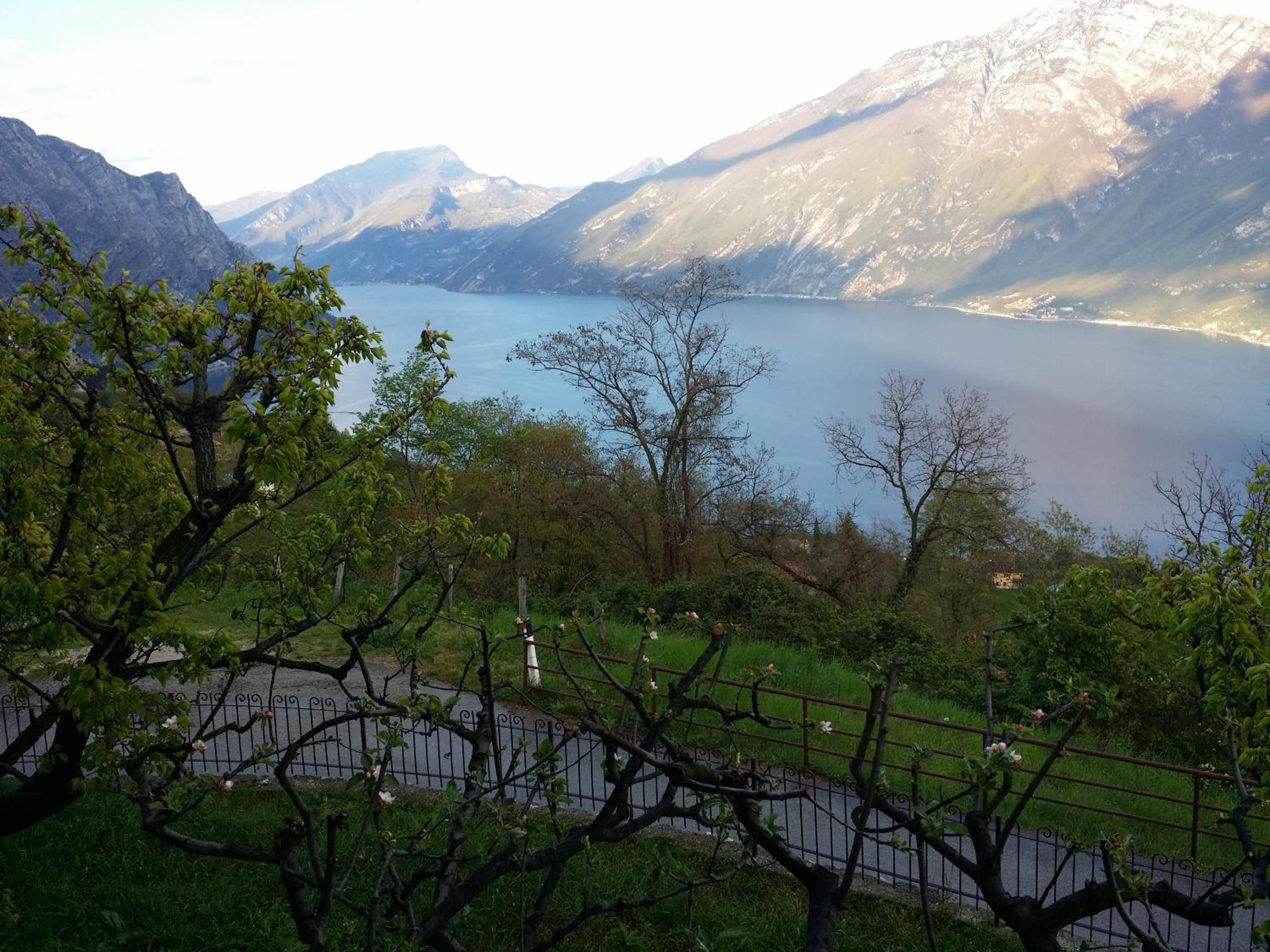 Villa Panoramica