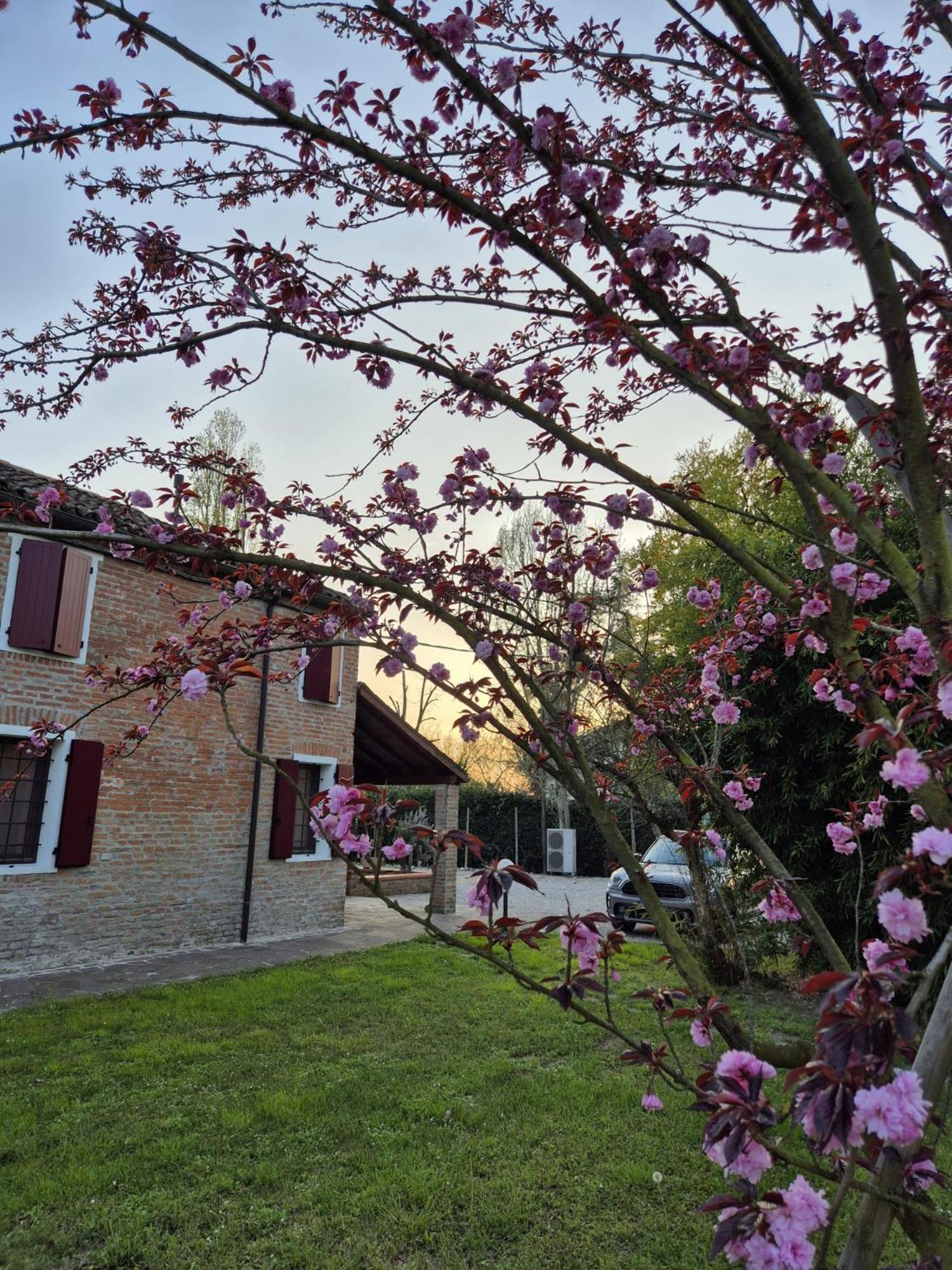 Il Bivio