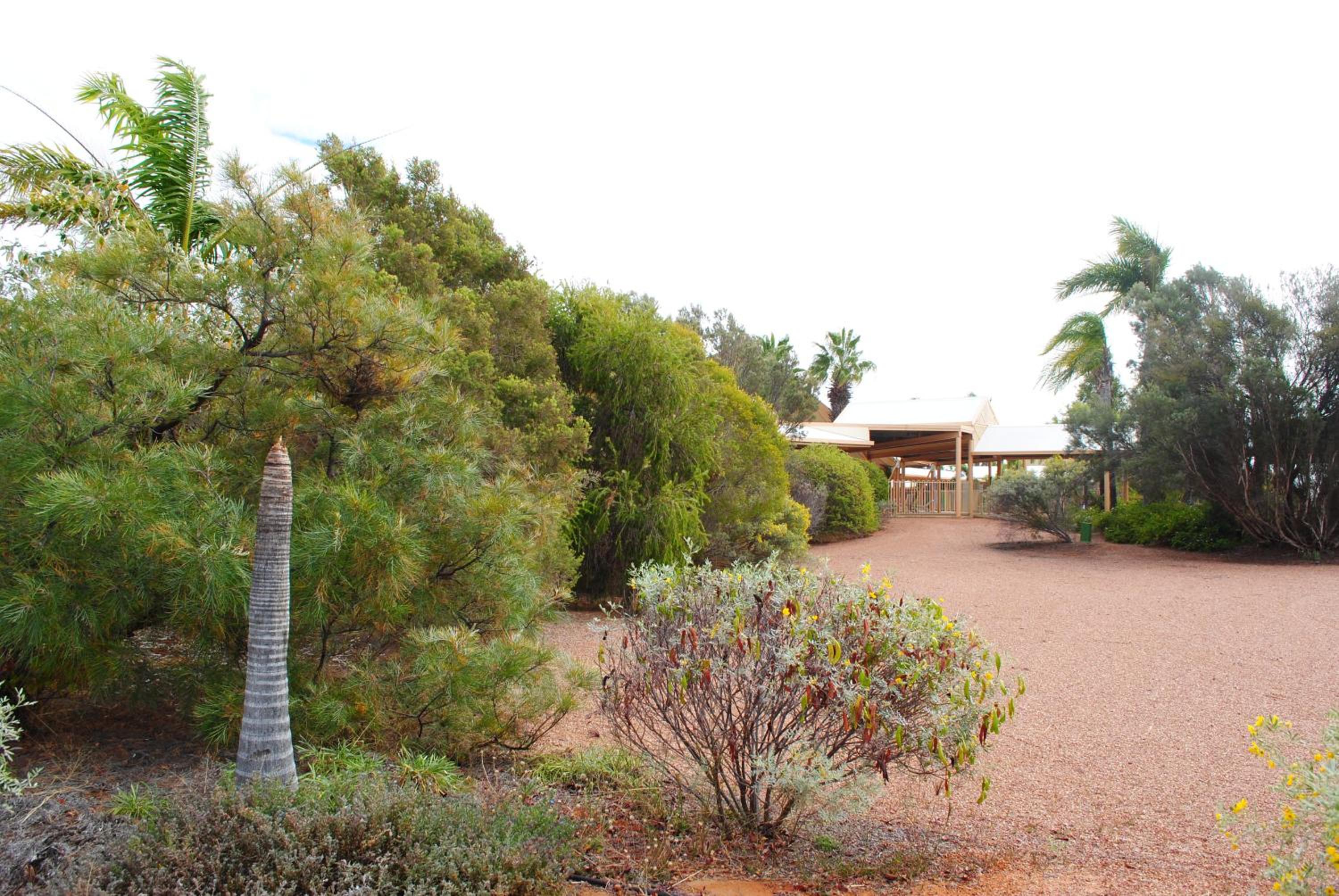 Photo 20