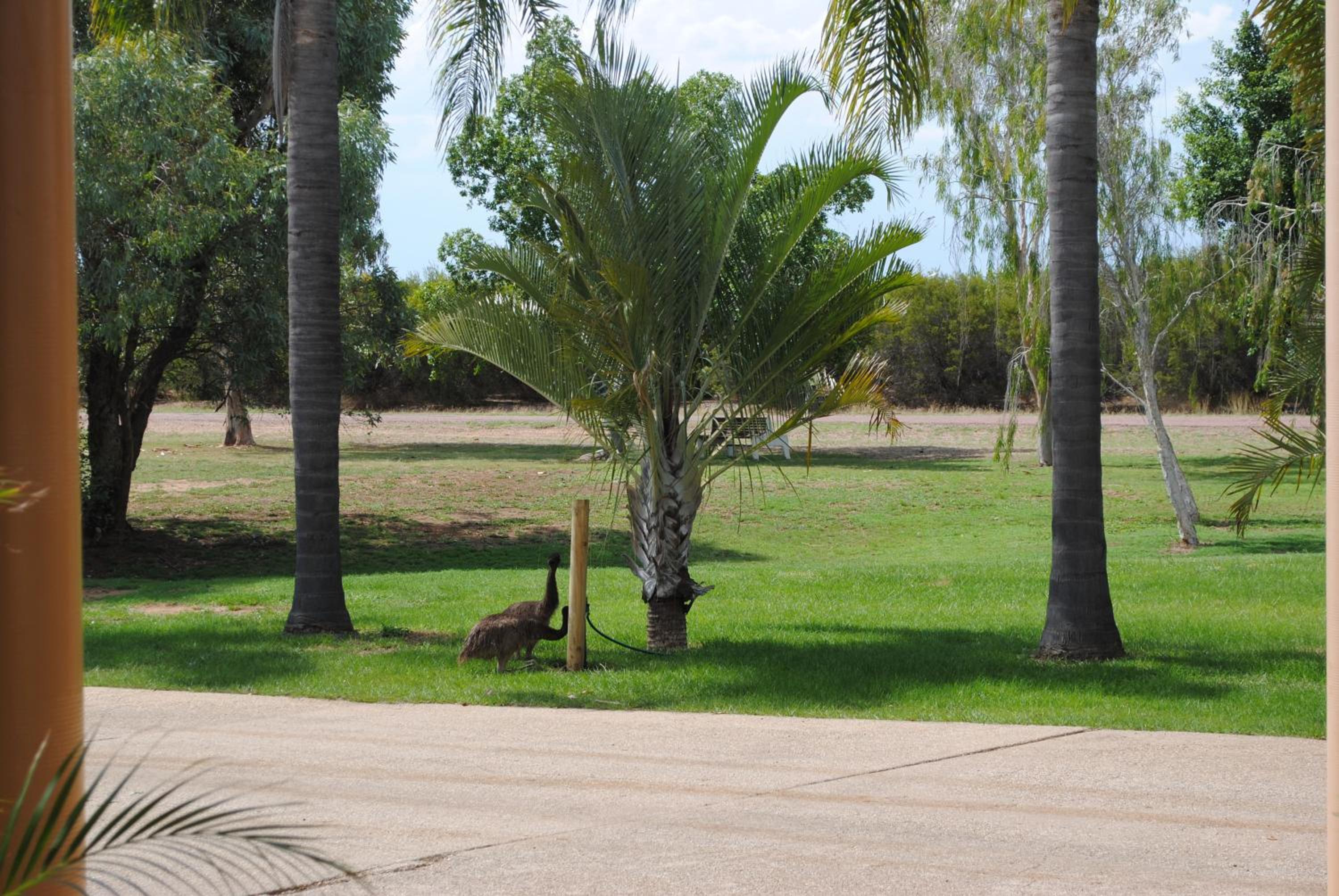 Photo 22