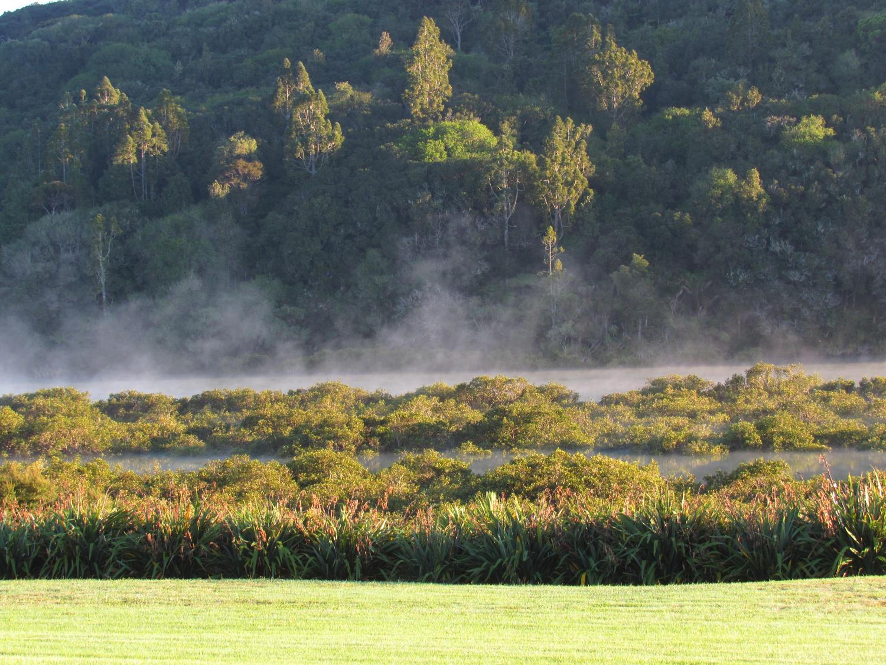 Okura River Estate Getaway