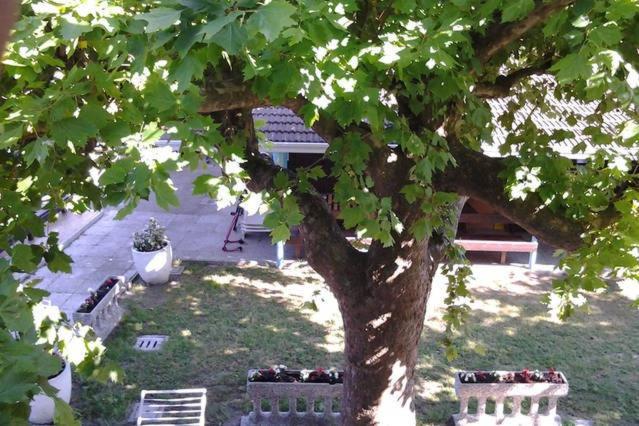 Eureka Azienda Agrituristica photo 3