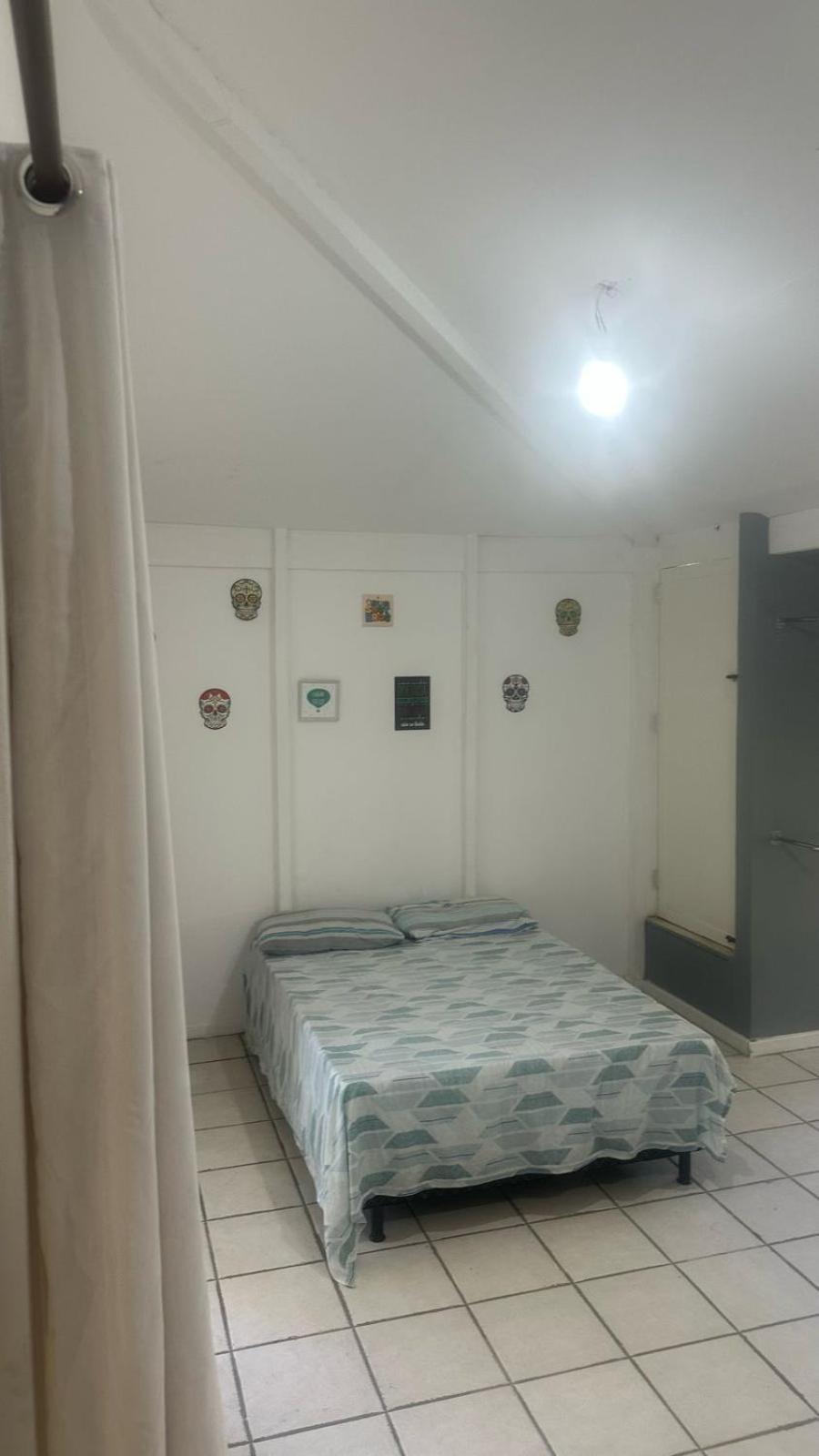 Casa da natureza - Cosme Velho