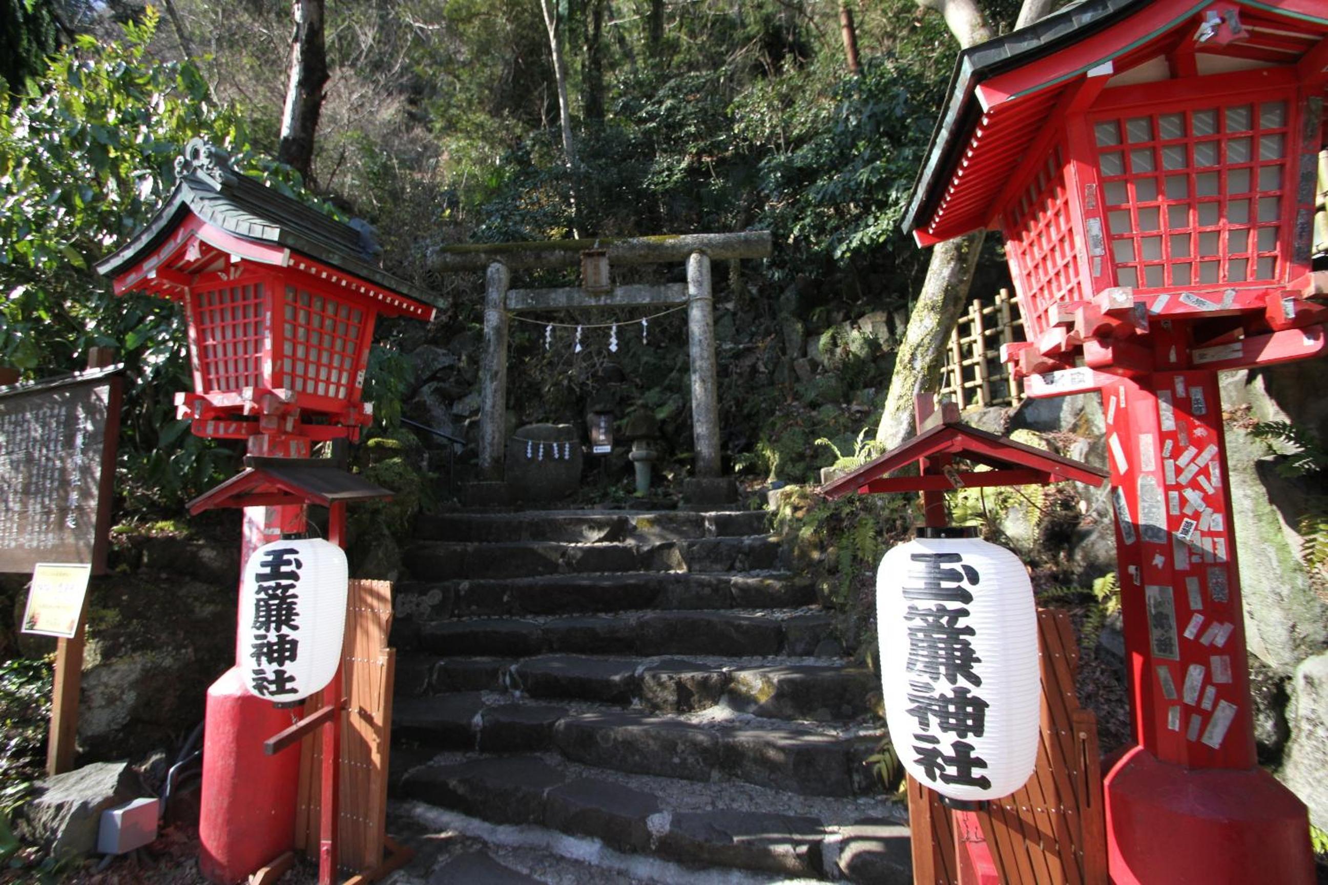 Tenseien