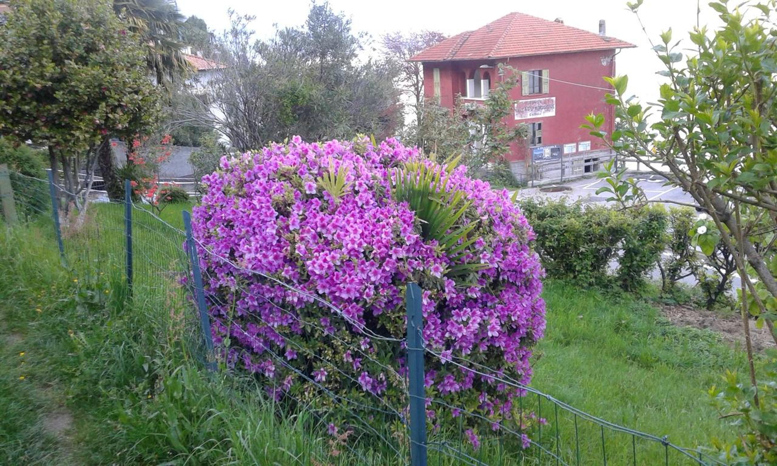 Photo 9