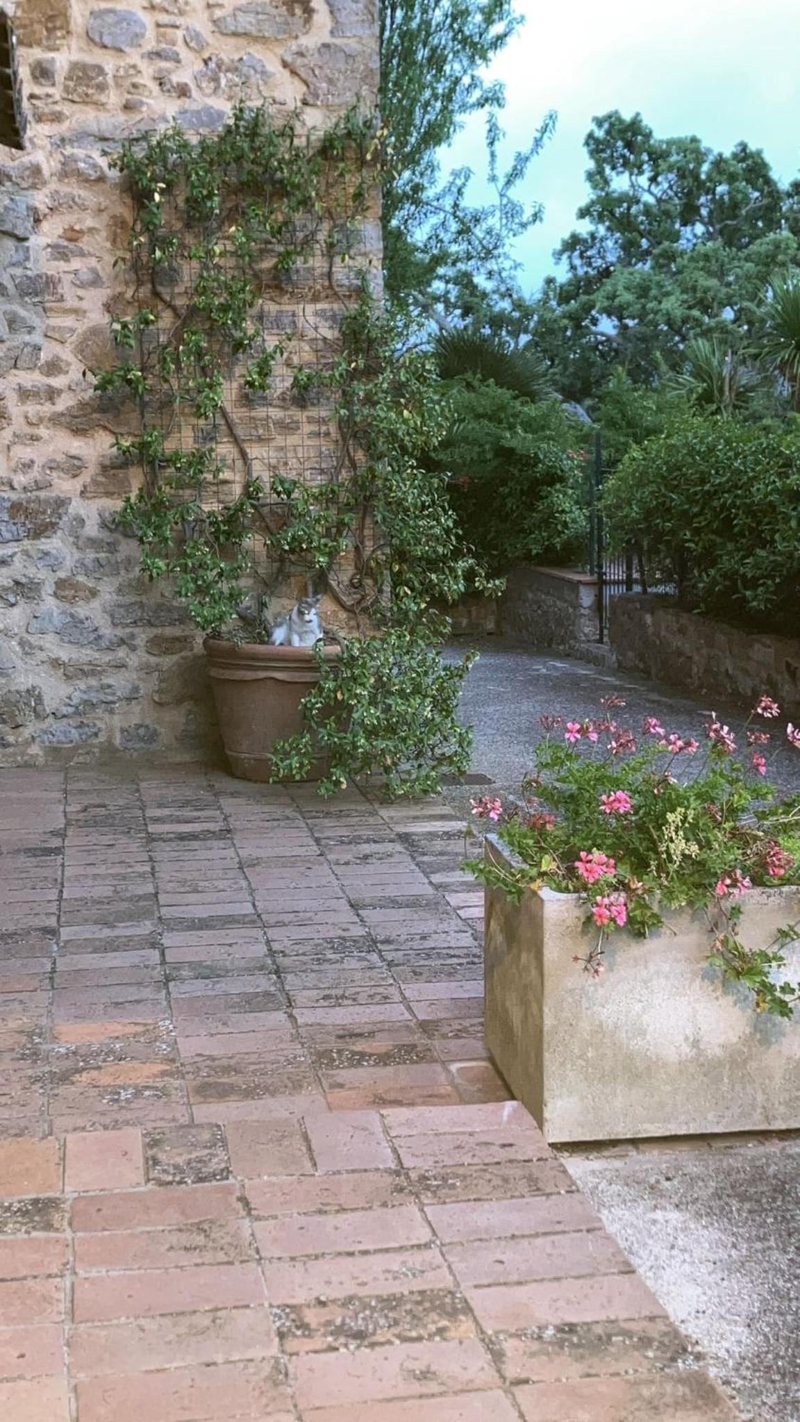 GiuMa Tuscany Historic Lux Farmhouse near Saturnia Hot Springs
