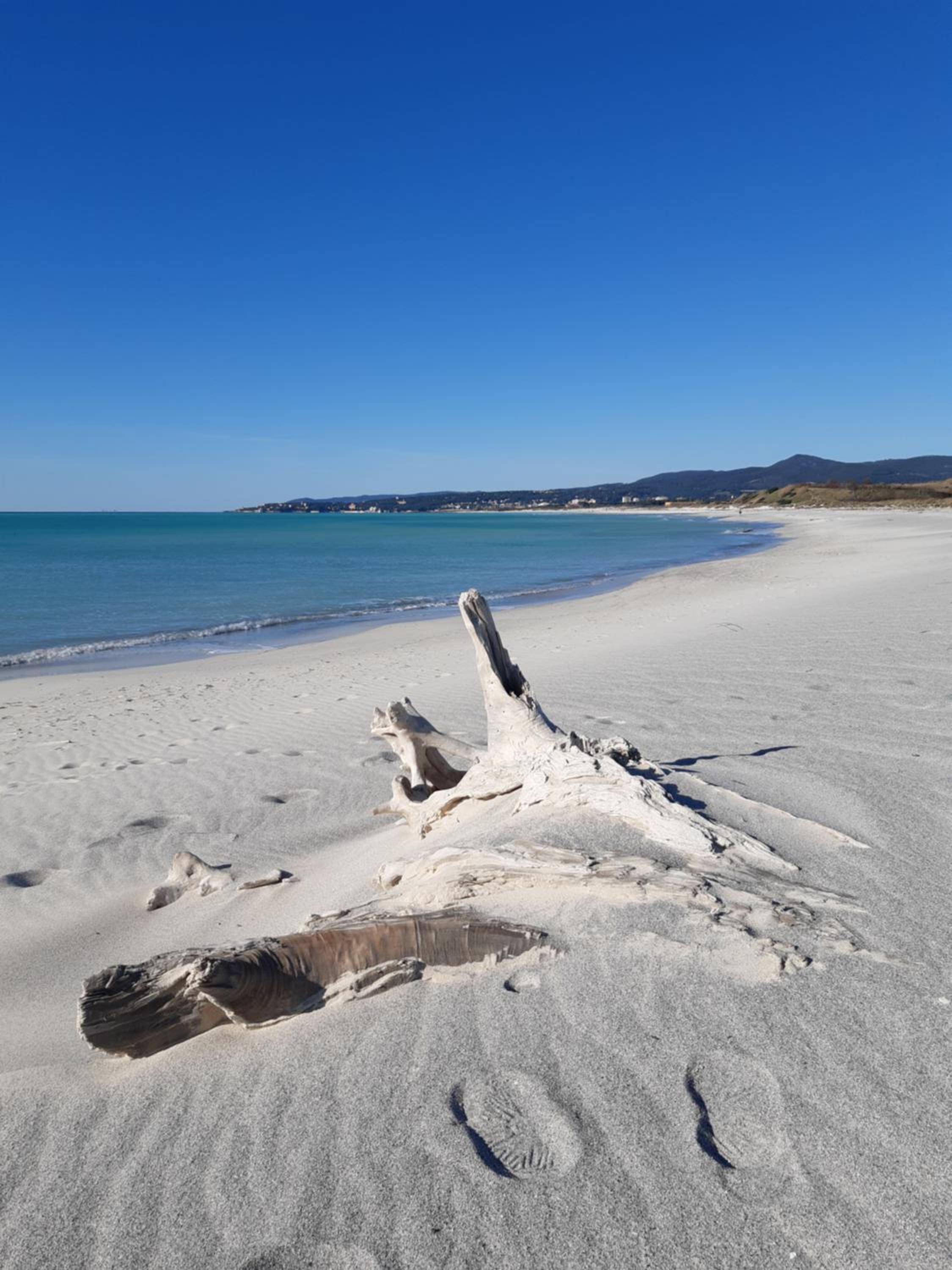 Verde Mare apartment Rosignano Marittimo