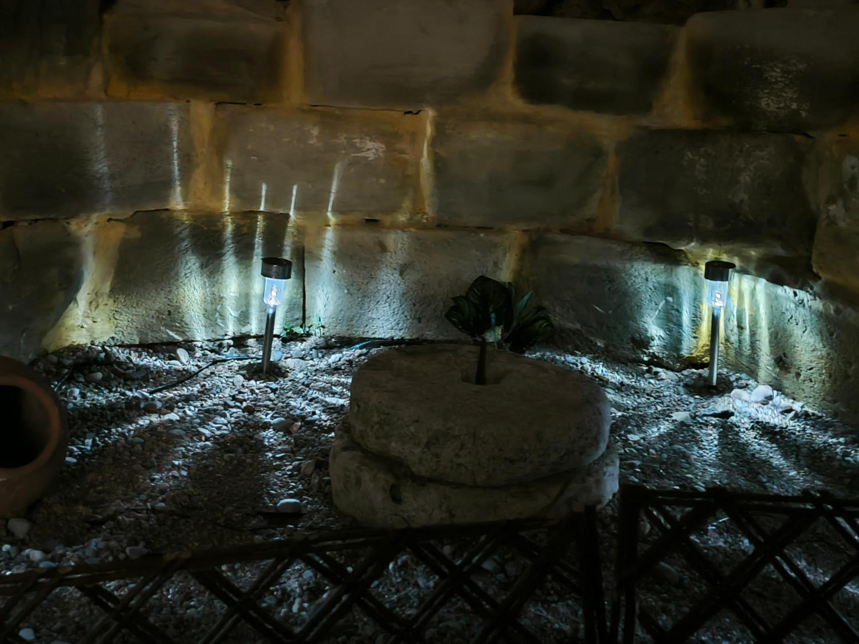 Photo 41