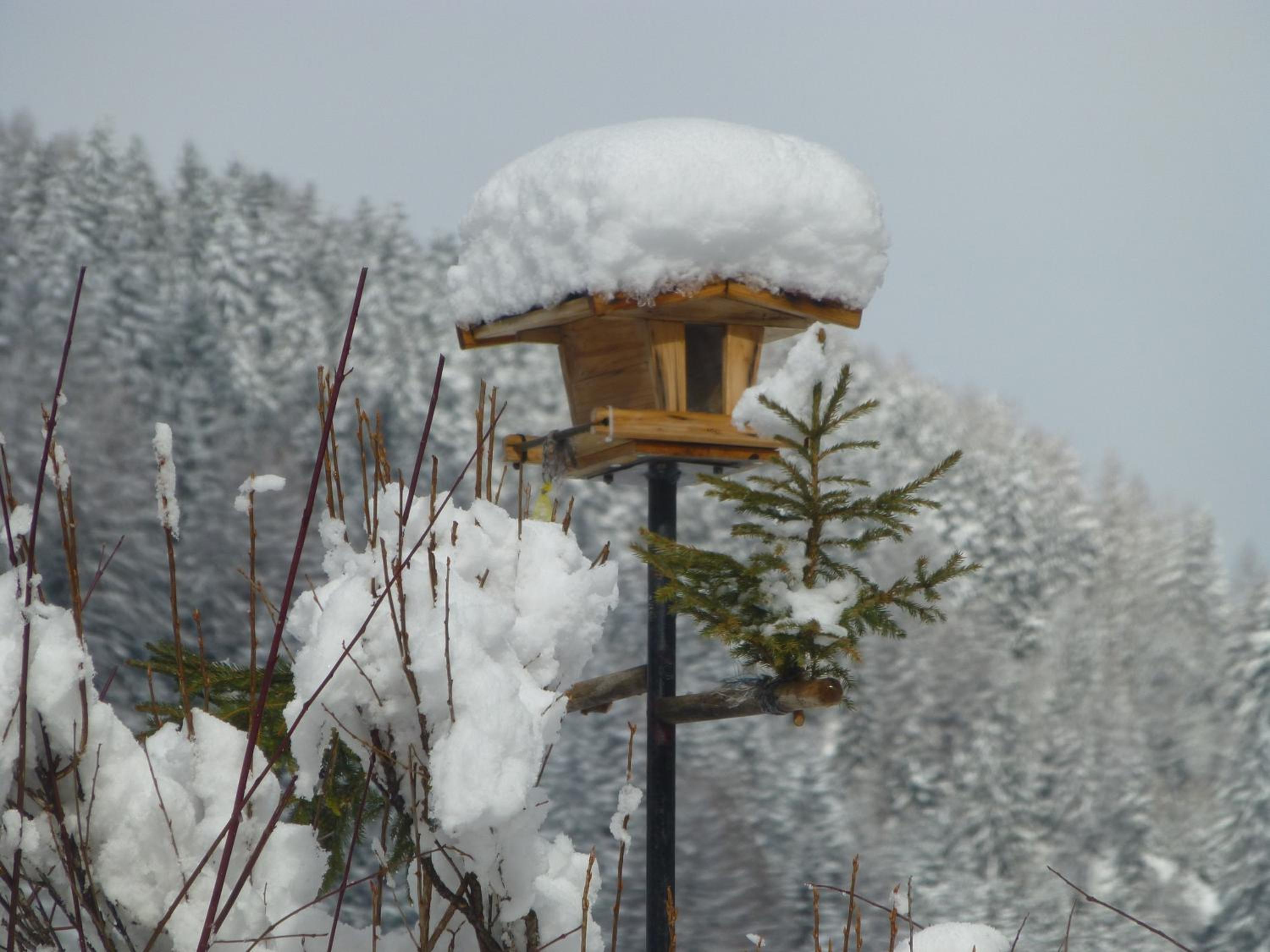 Guesthouse Mountain View