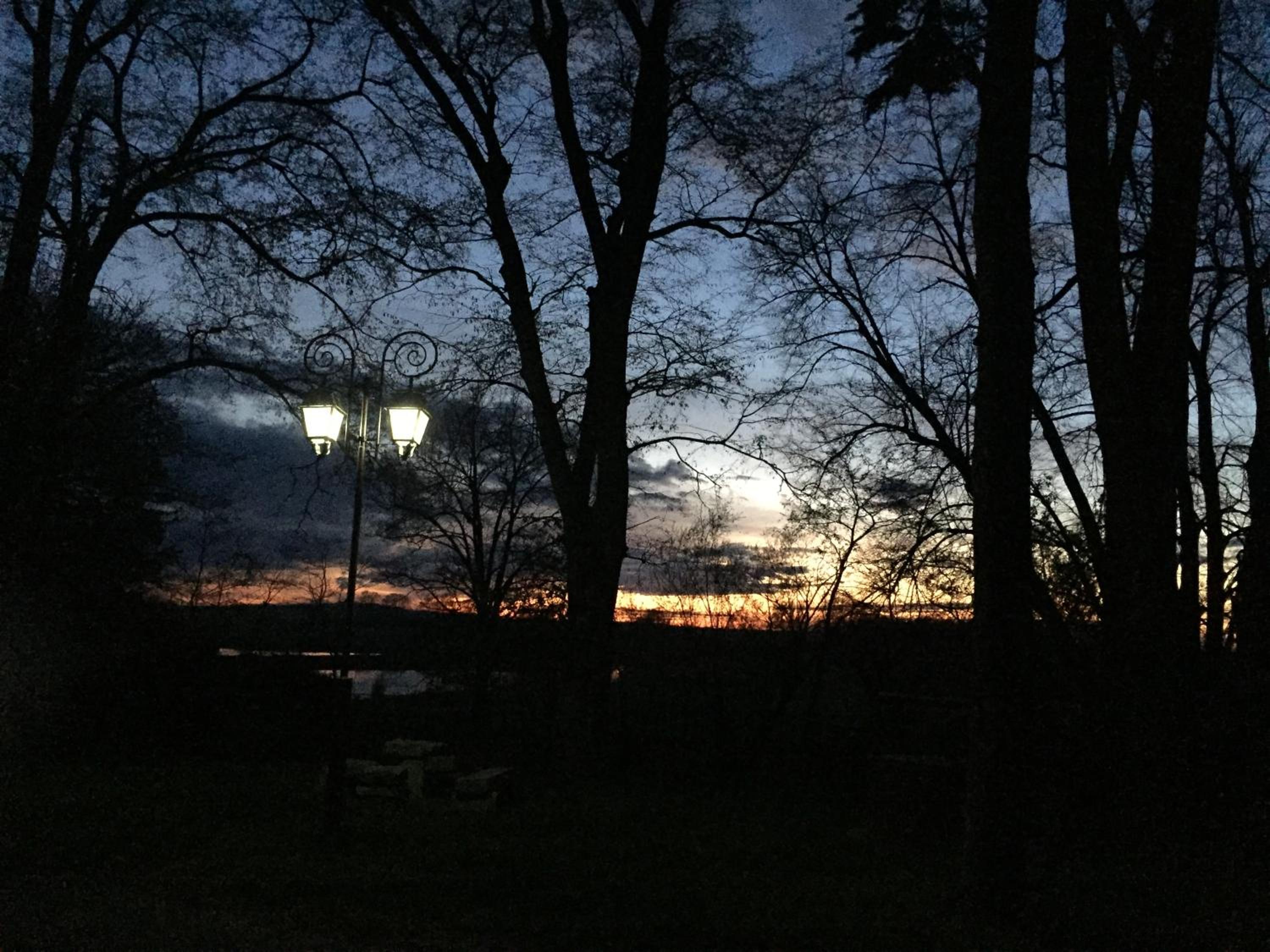 Photo 44