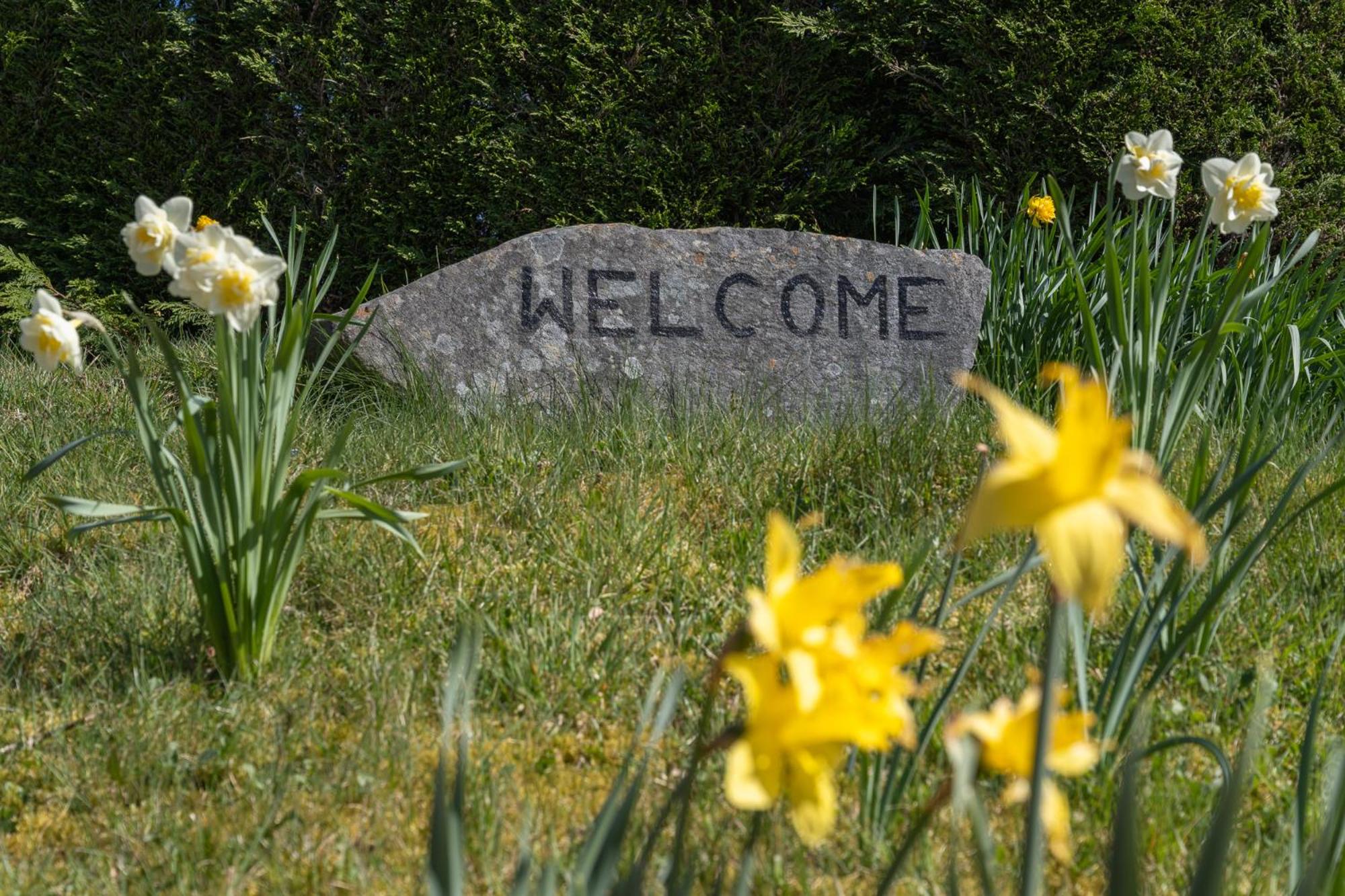 Mizpah Bed & Breakfast near Ben Nevis Highlands