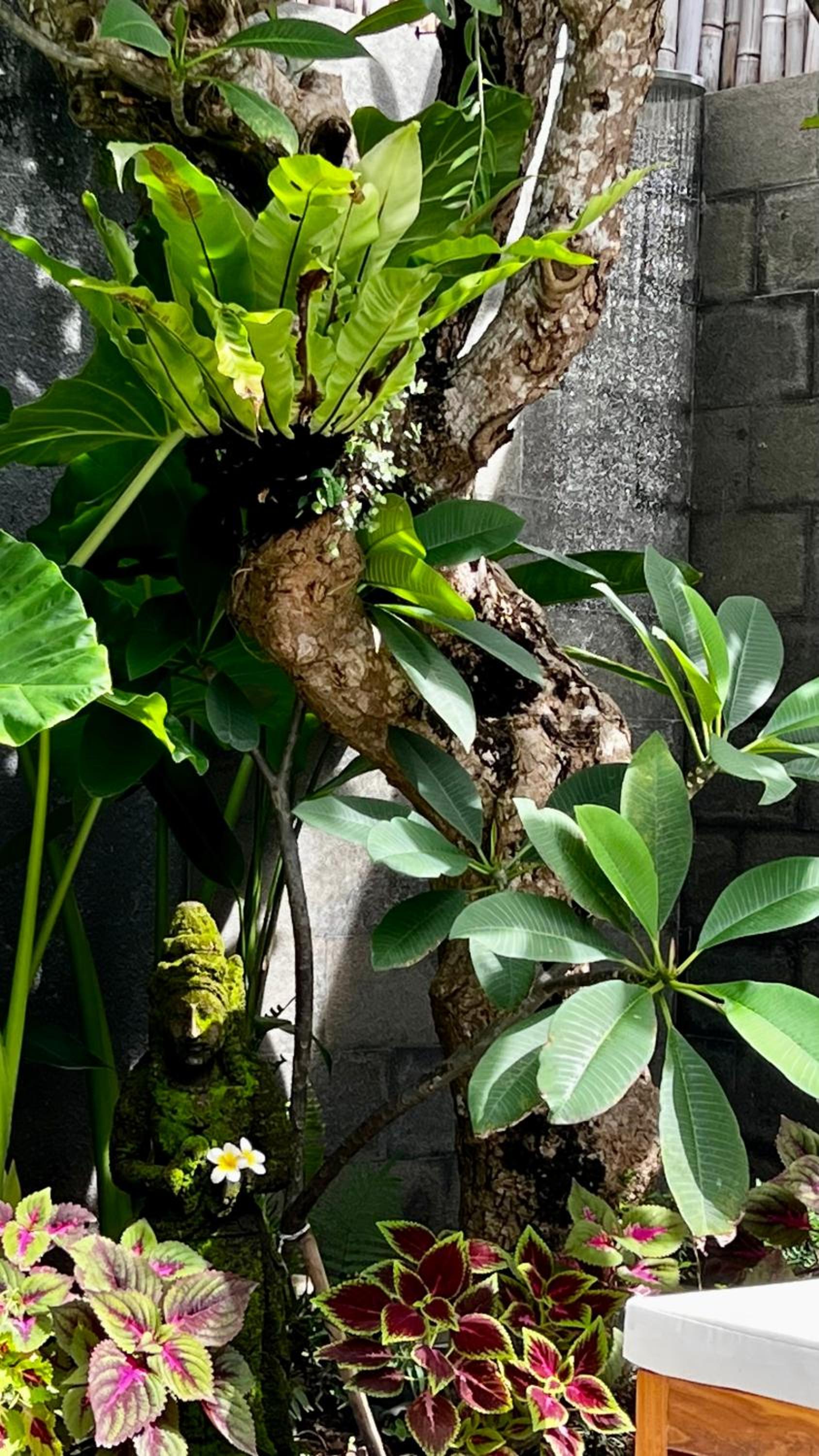 Tropical 2BR Villa with Private Pool in Canggu