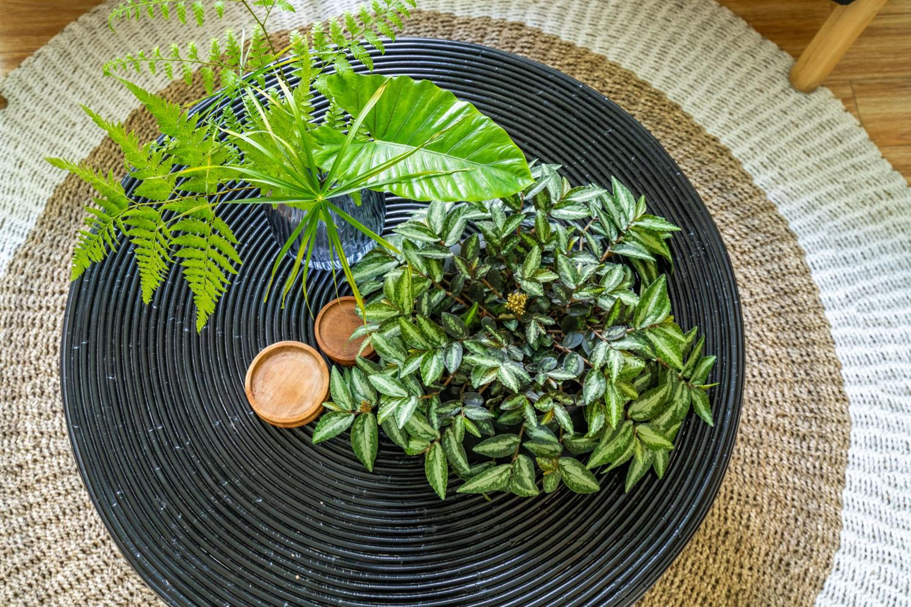 Tropical 2BR Villa with Private Pool in Canggu