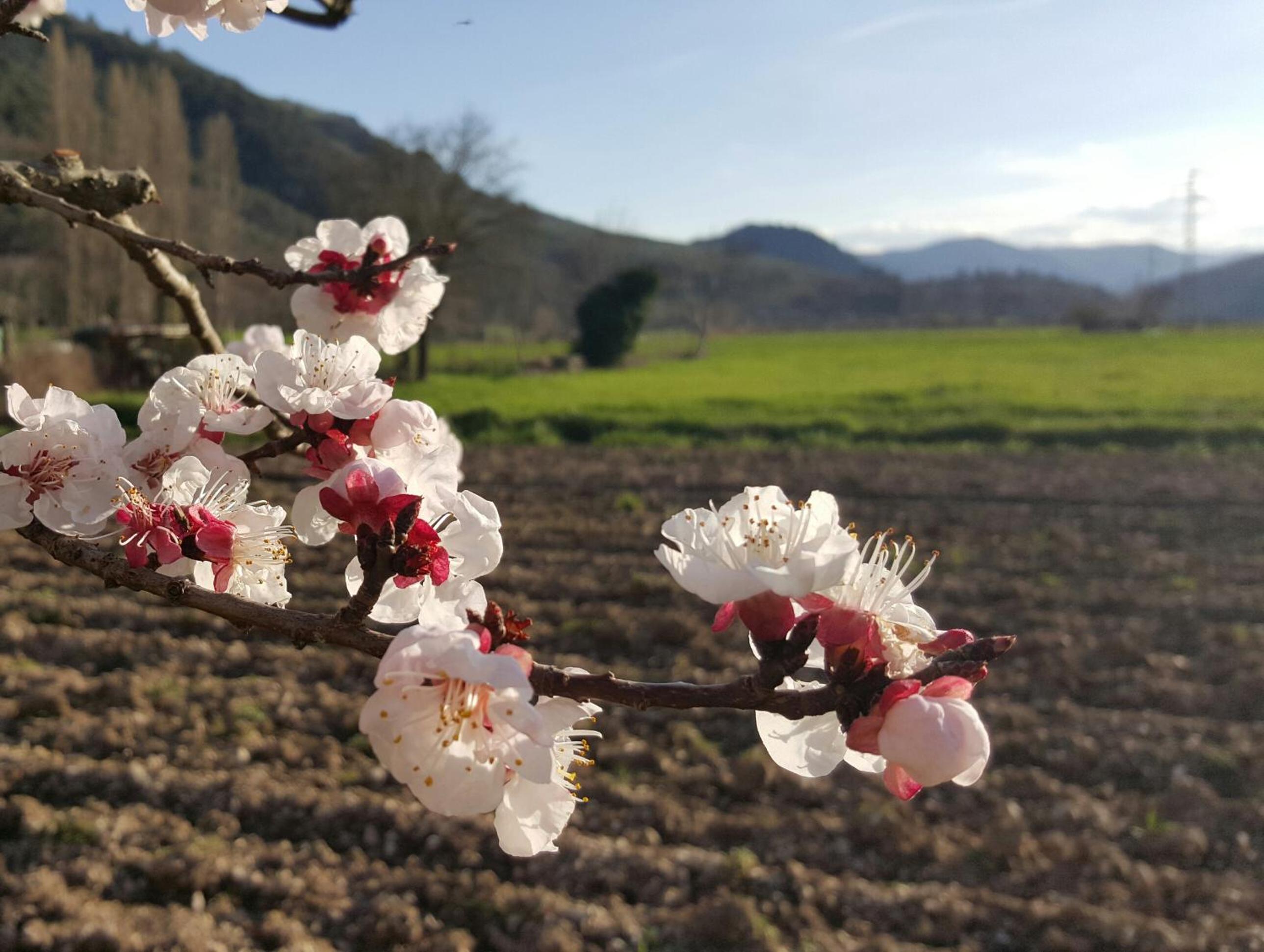 Photo 125