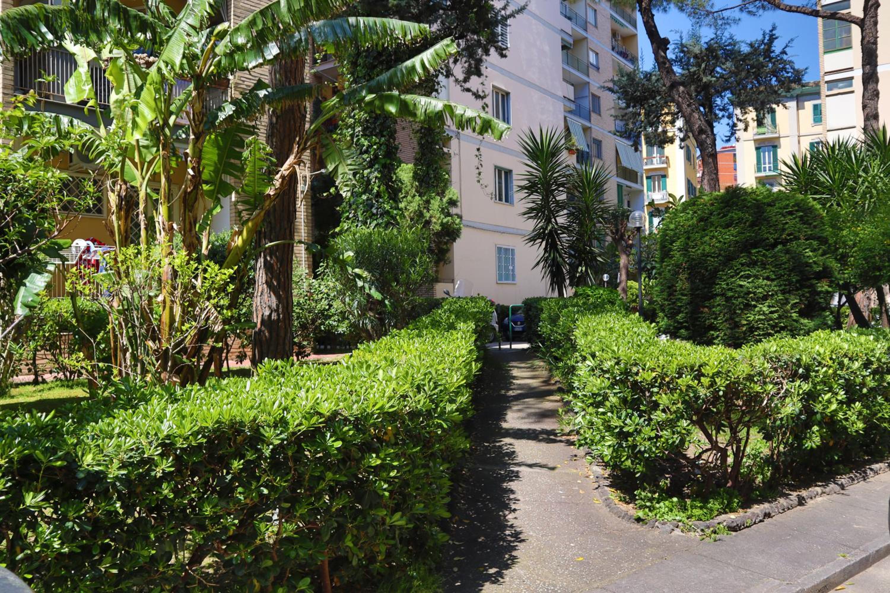 Diana Panoramic Apartment