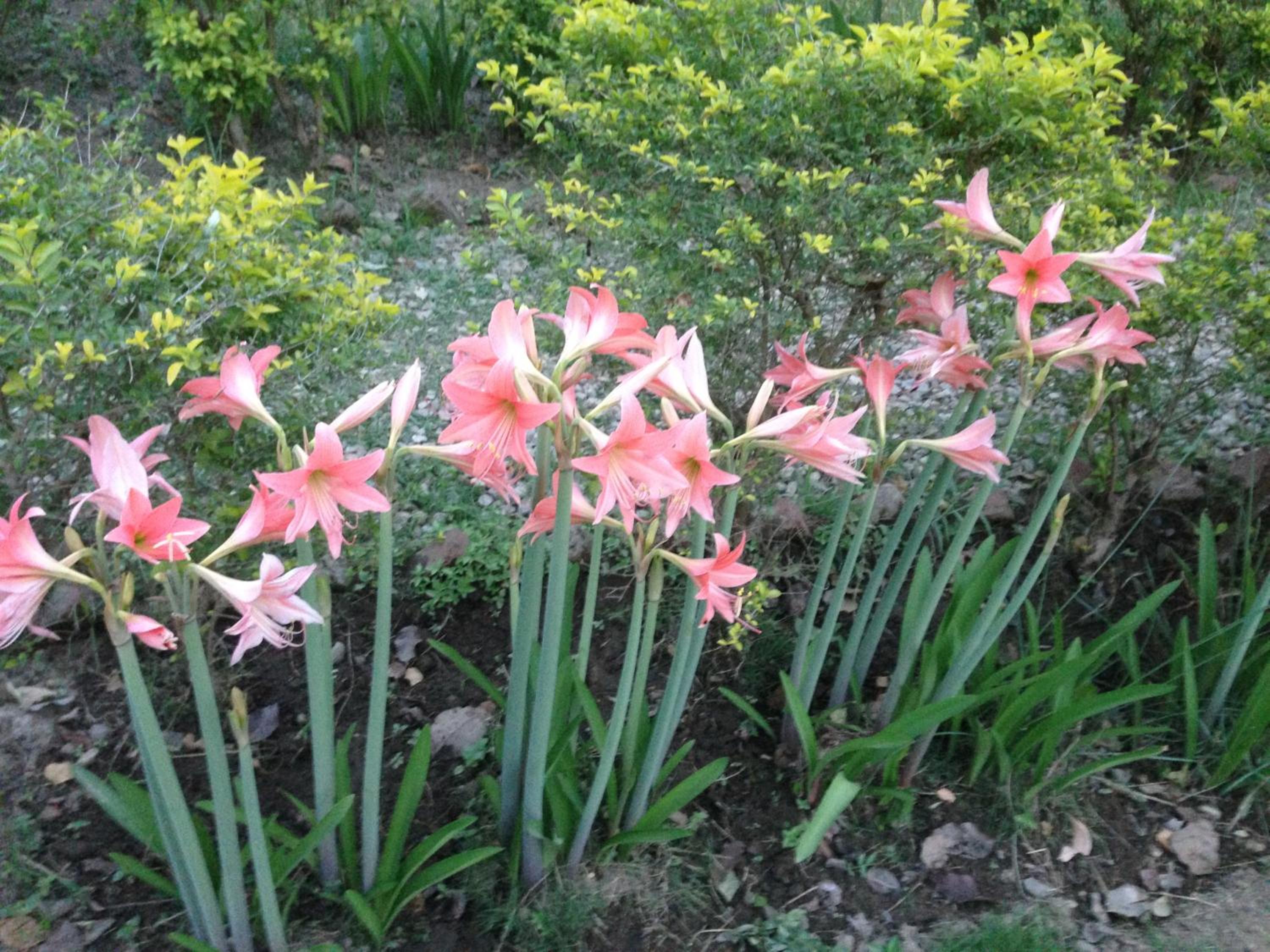 Photo 45