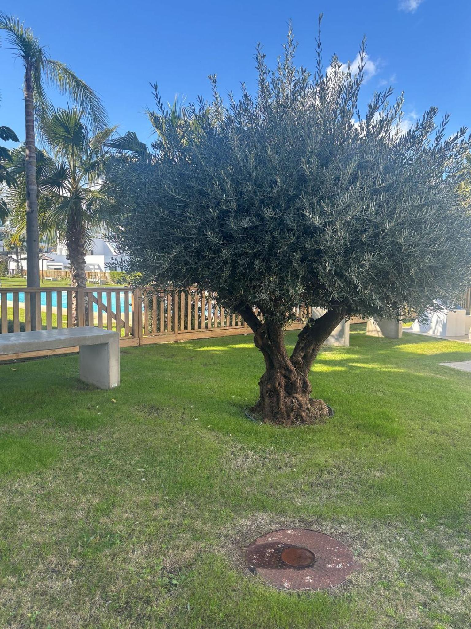 Mijas Tres Caminos