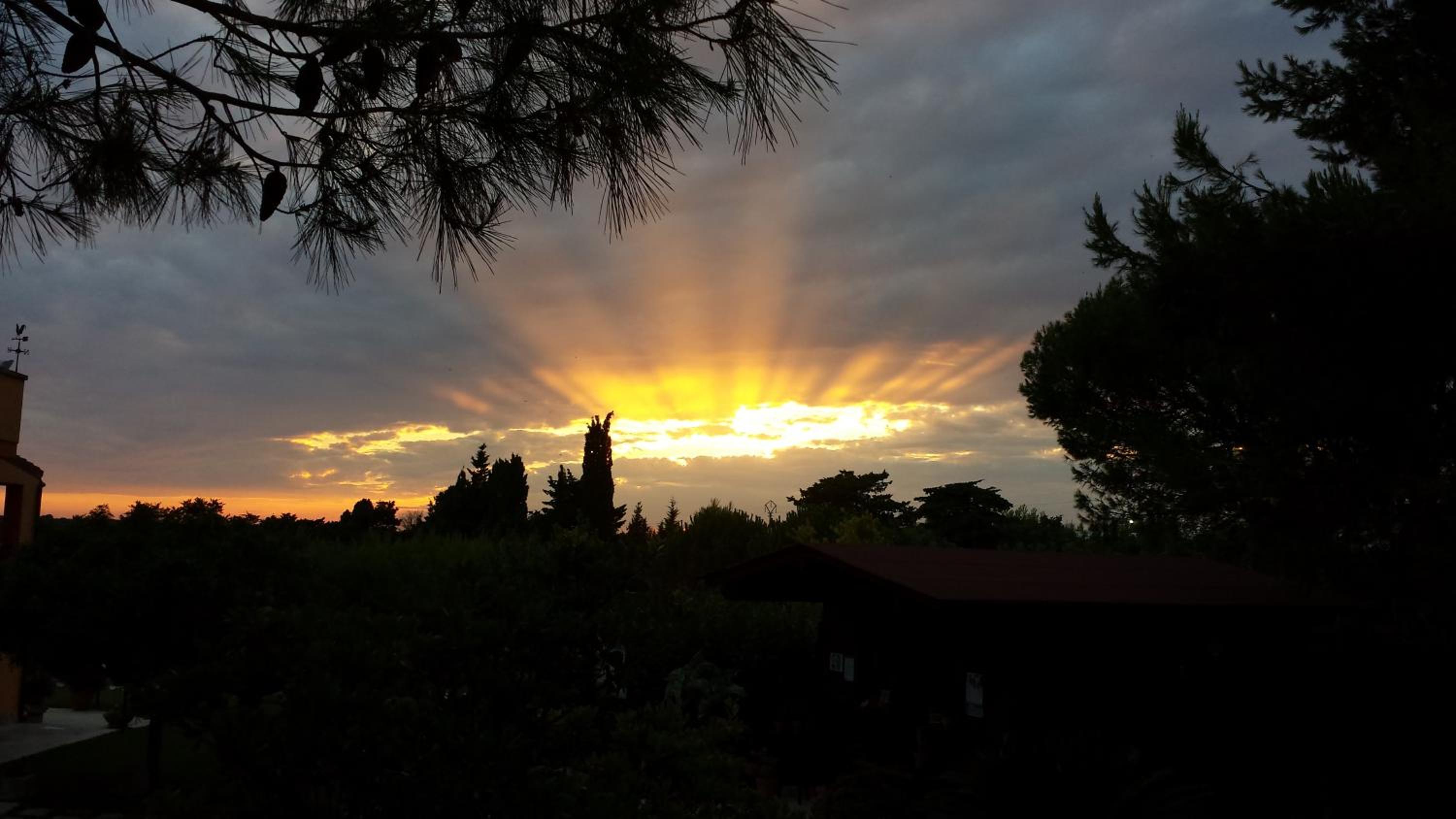 Sole del Mediterraneo
