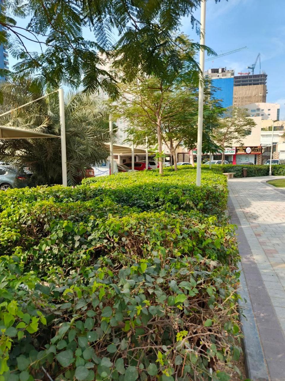 Ajman Family Aurora VIP Elegant apartment for families with a capacity of 7 people fully equipped