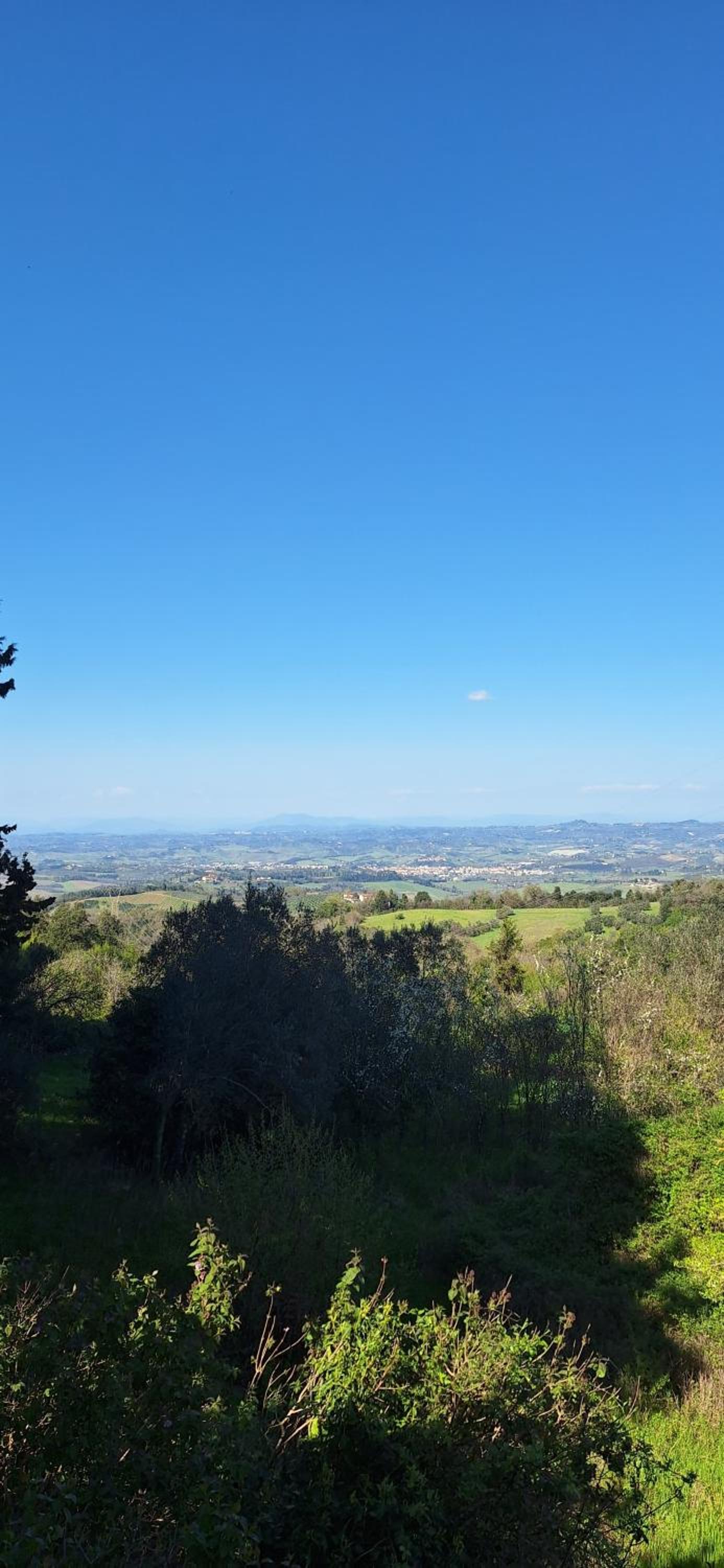 Buonriposo San Gimignano