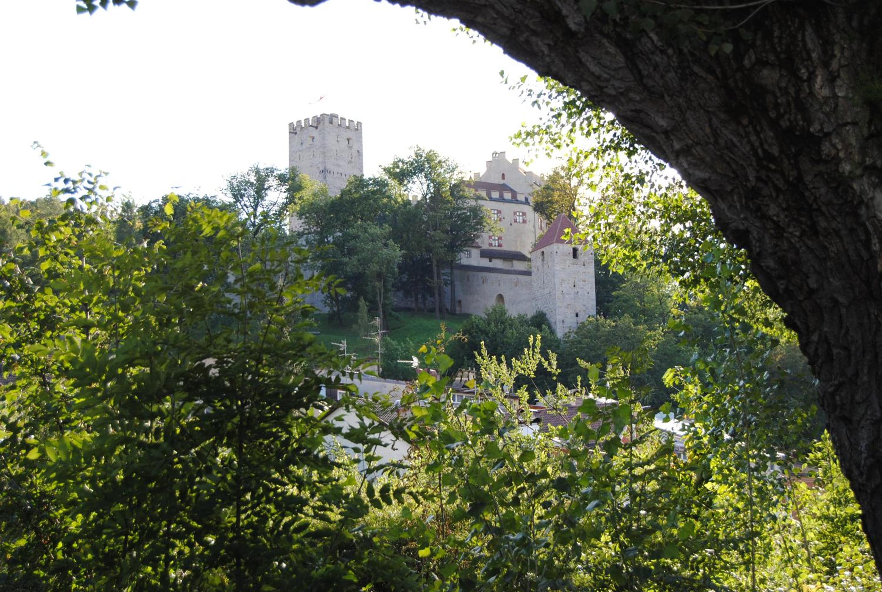 Photo 29