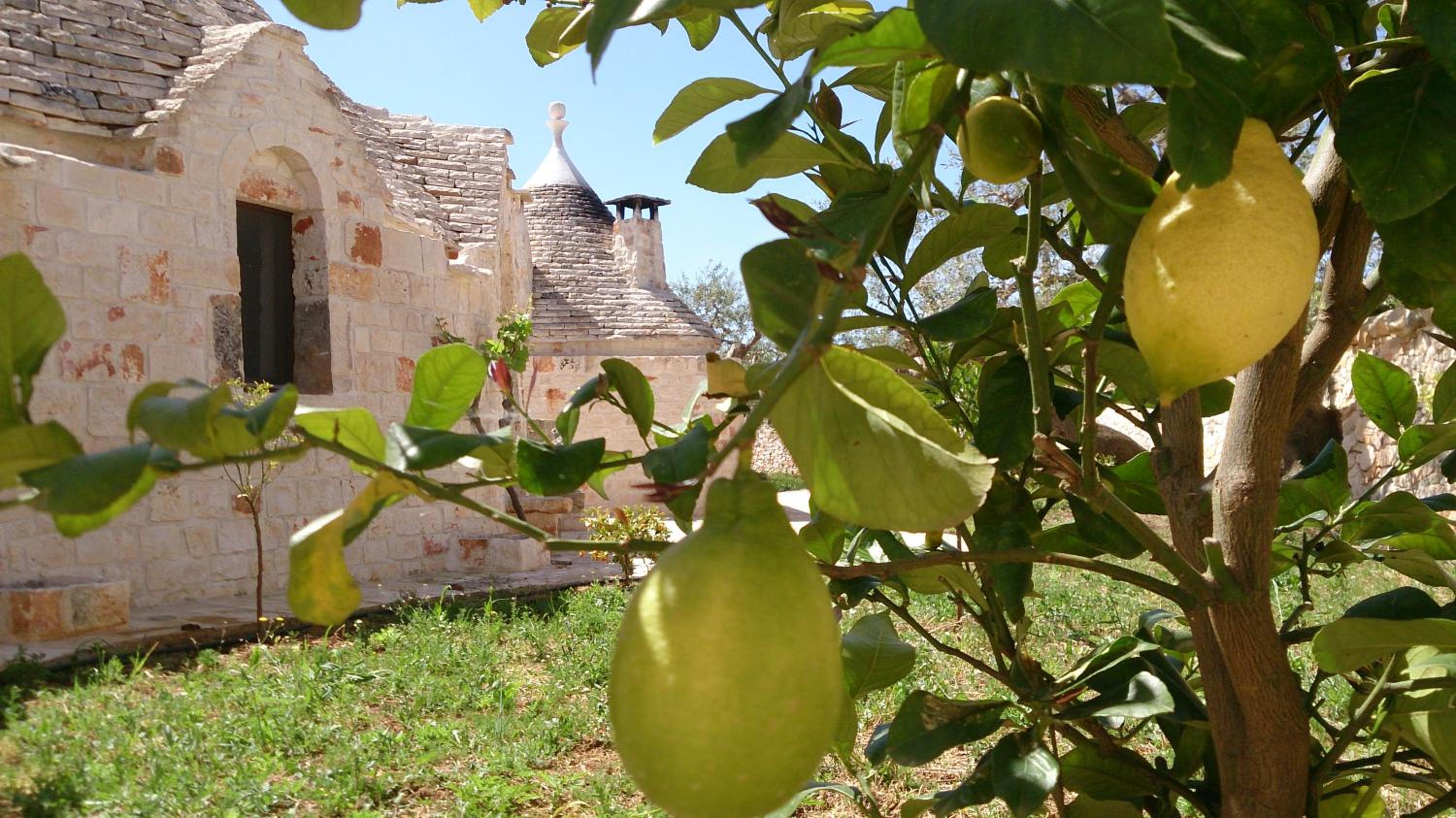 Almapetra Trulli Resort