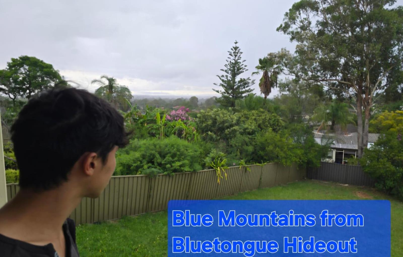 Bluetongue Hideout