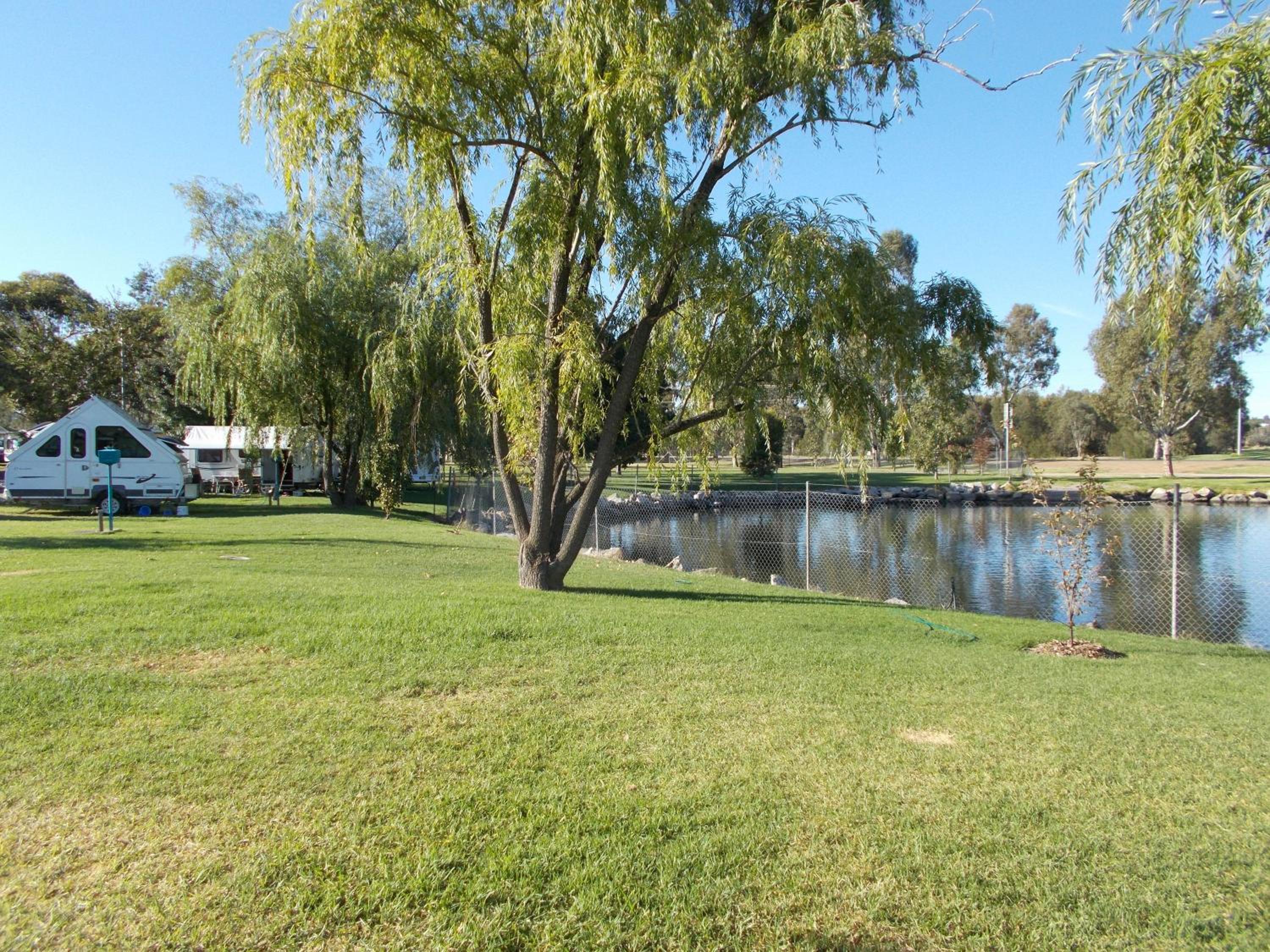 Junee Tourist Park