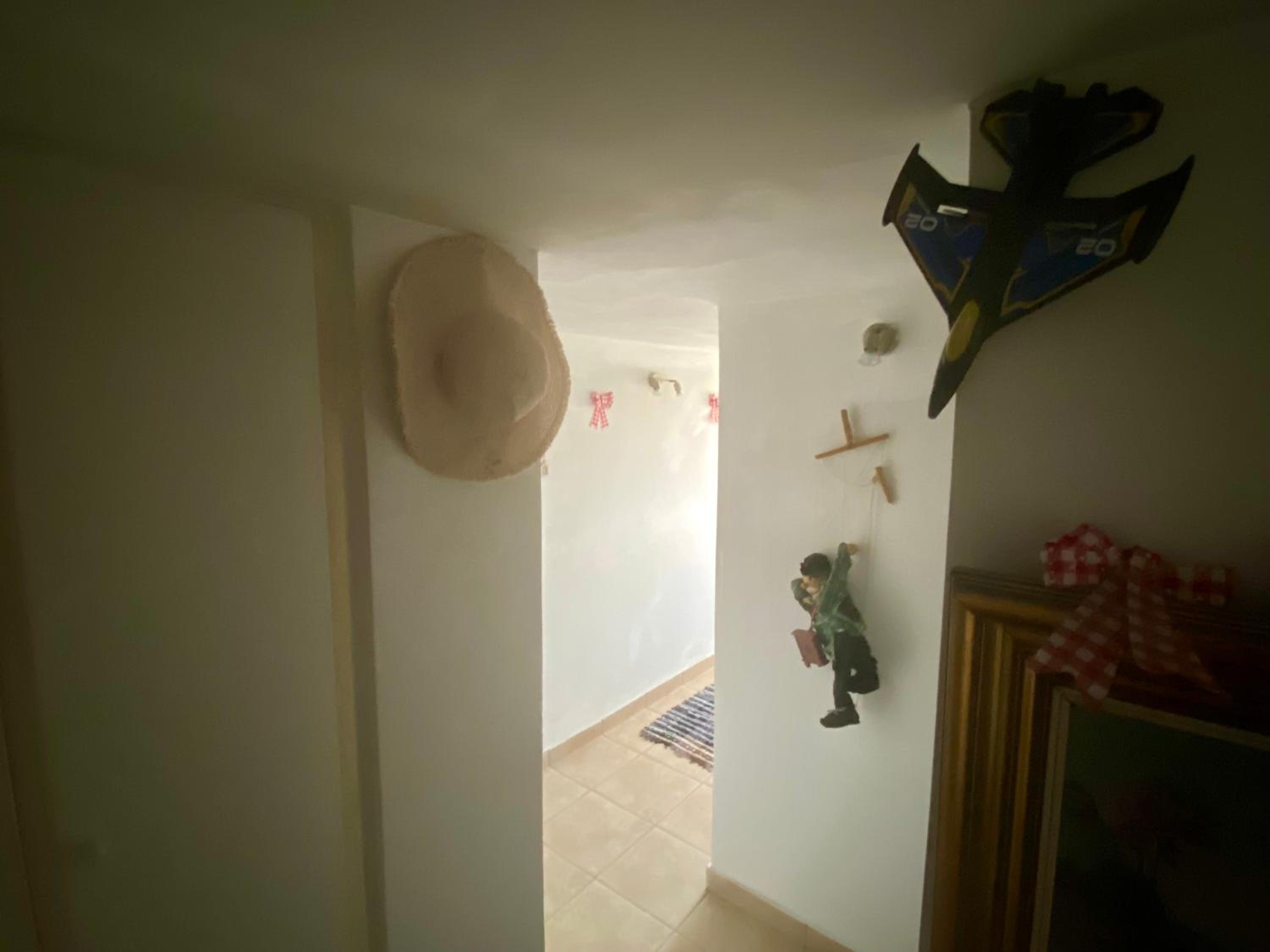 20 mins from city centre, rural house