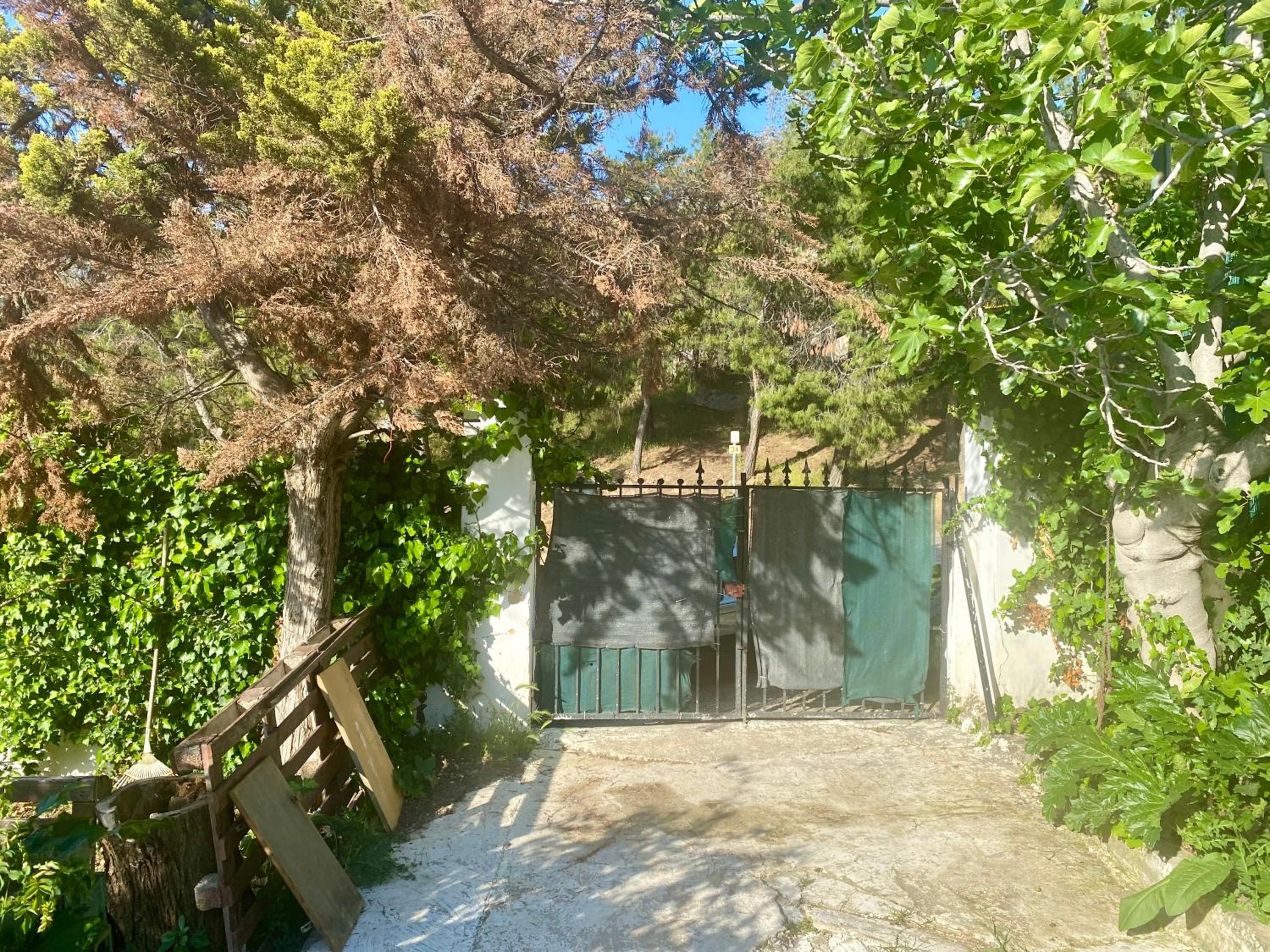 20 mins from city centre, rural house