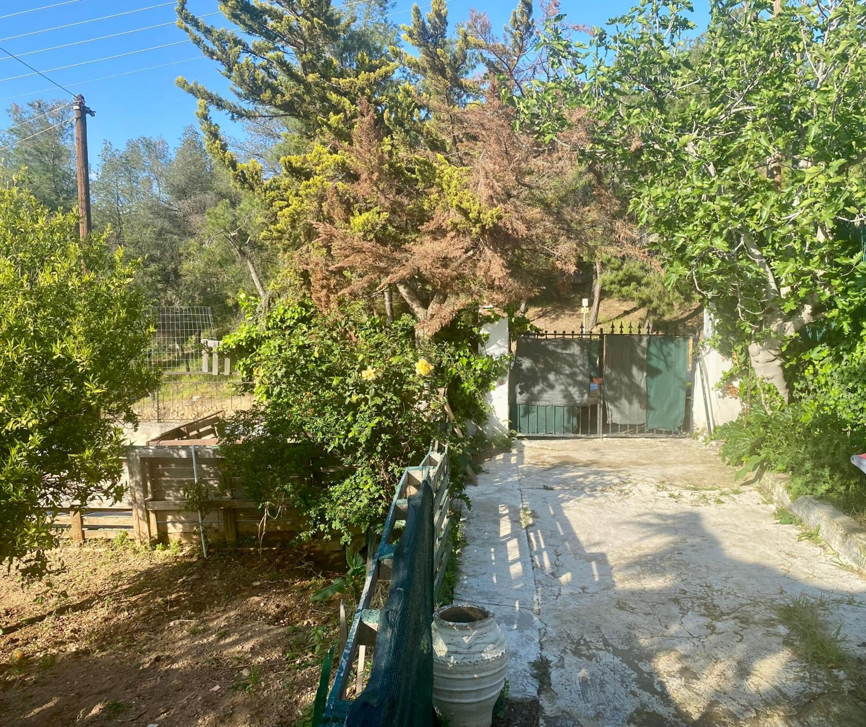 20 mins from city centre, rural house