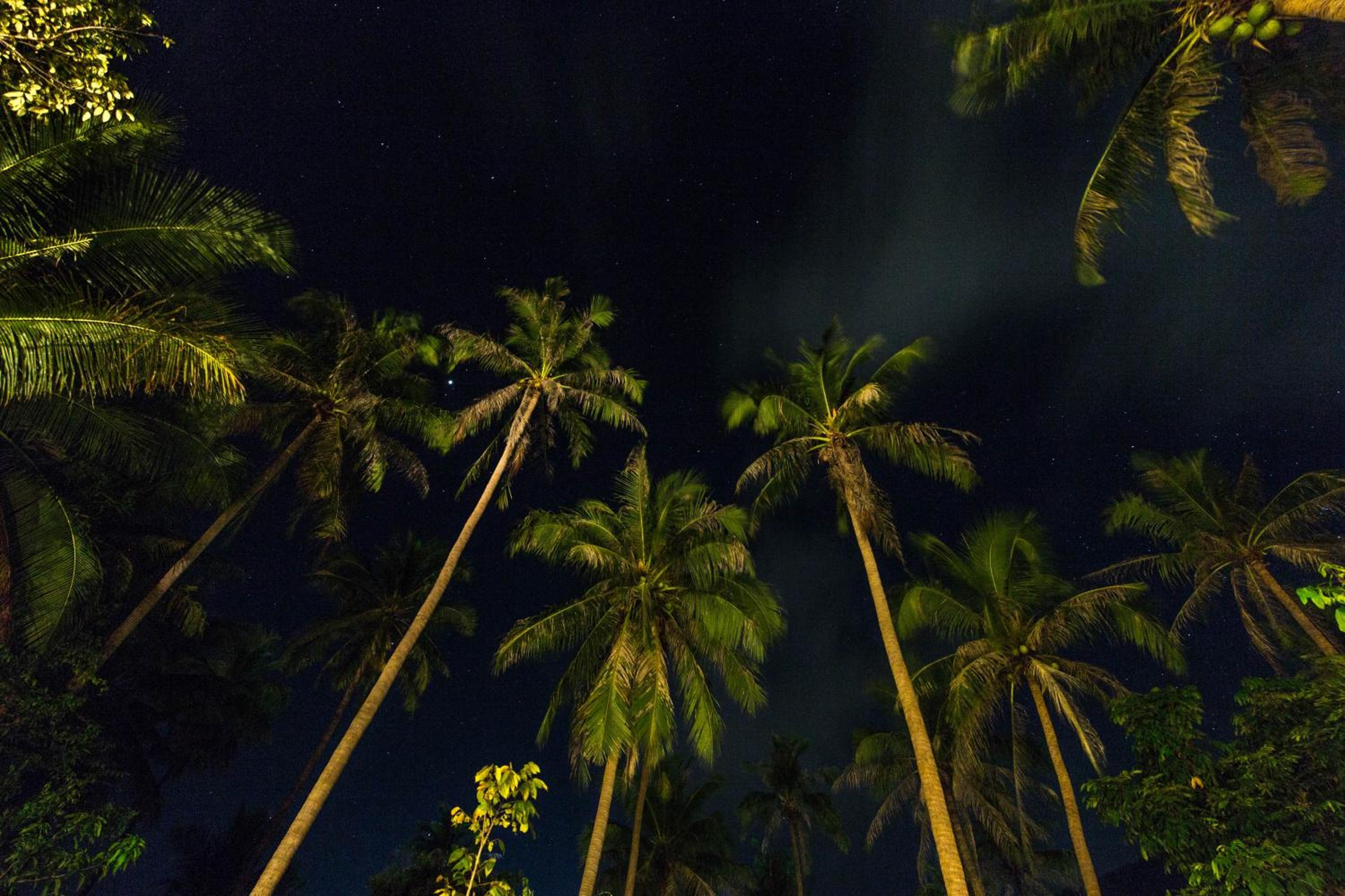 Koh Phangan Pavilions Serviced Apartments