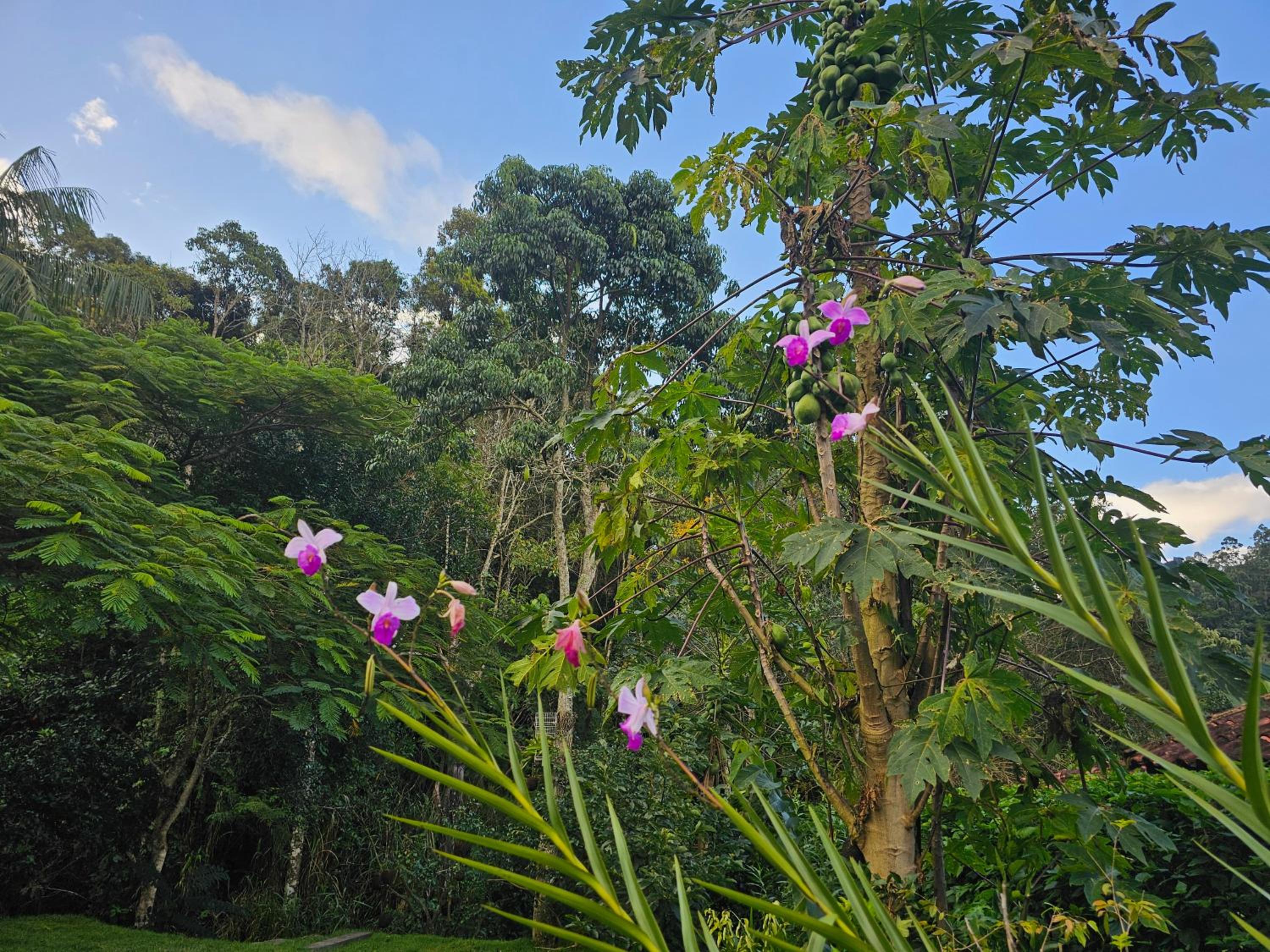 Rio Sereno Suítes - Lumiar