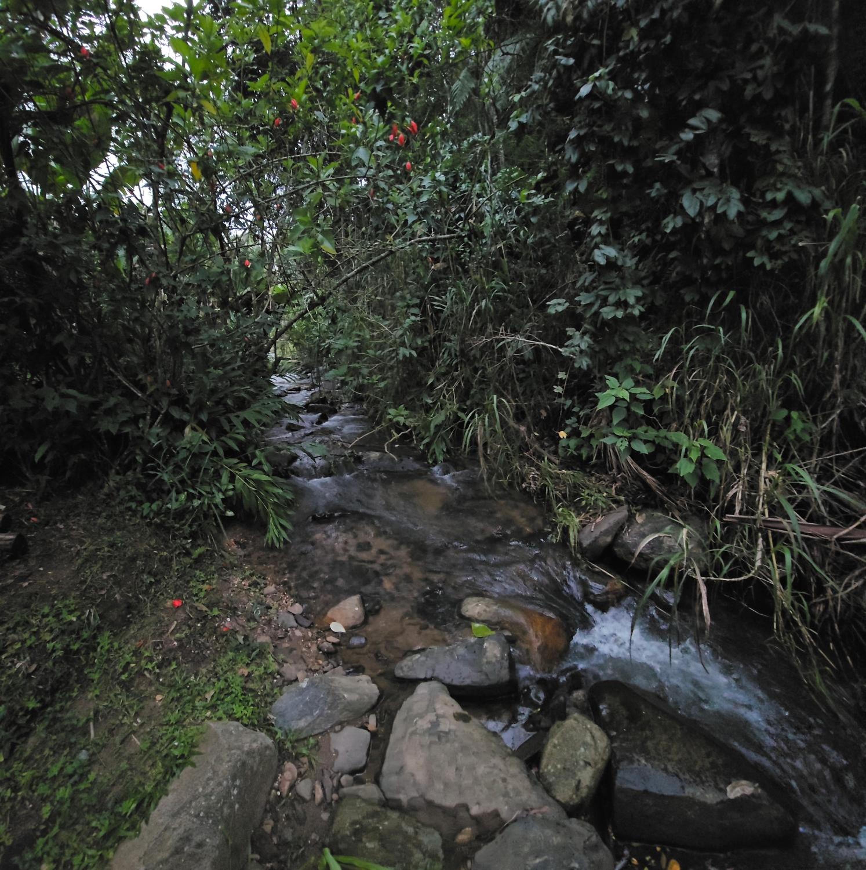 Rio Sereno Suítes - Lumiar