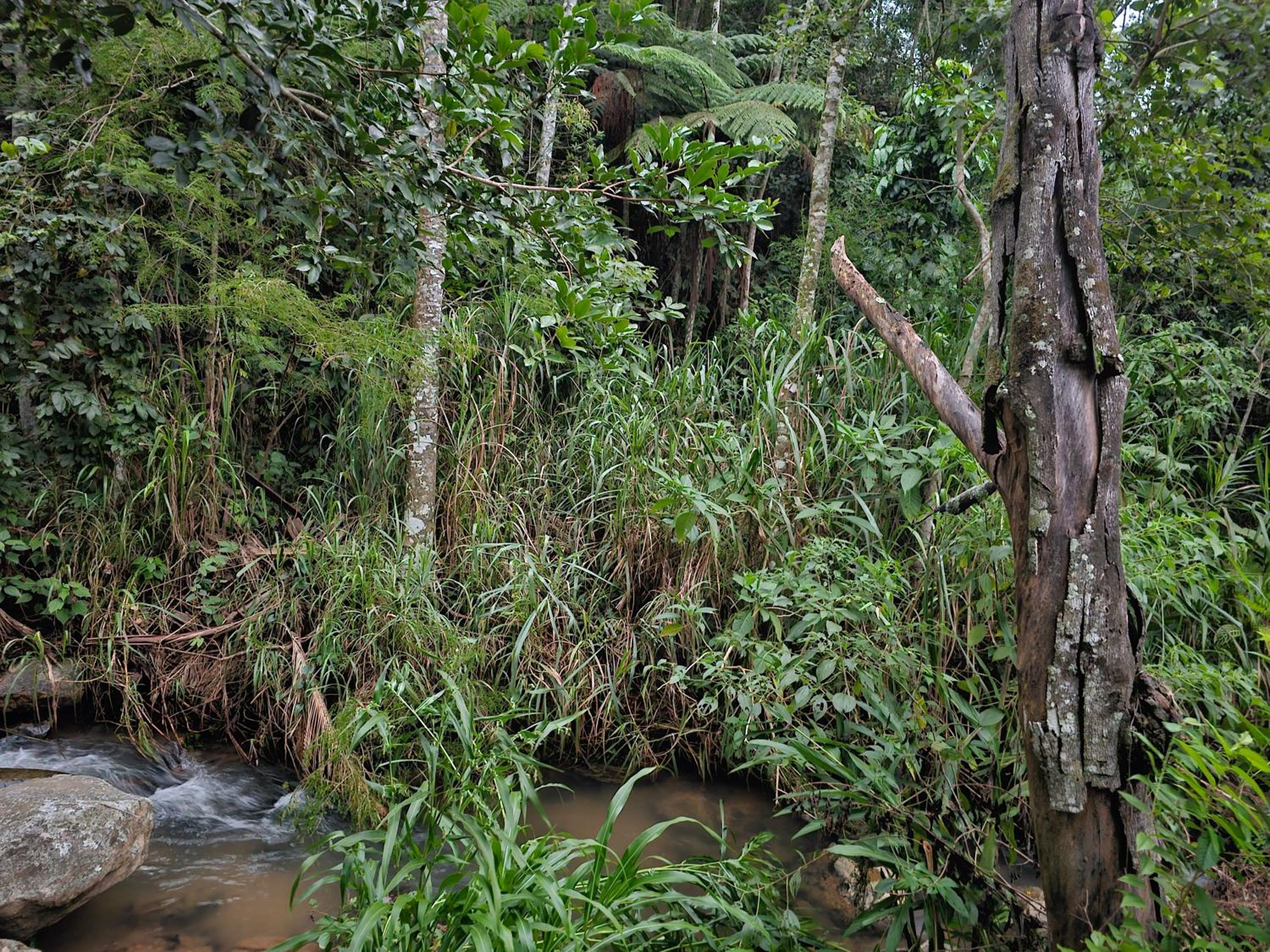 Rio Sereno Suítes - Lumiar