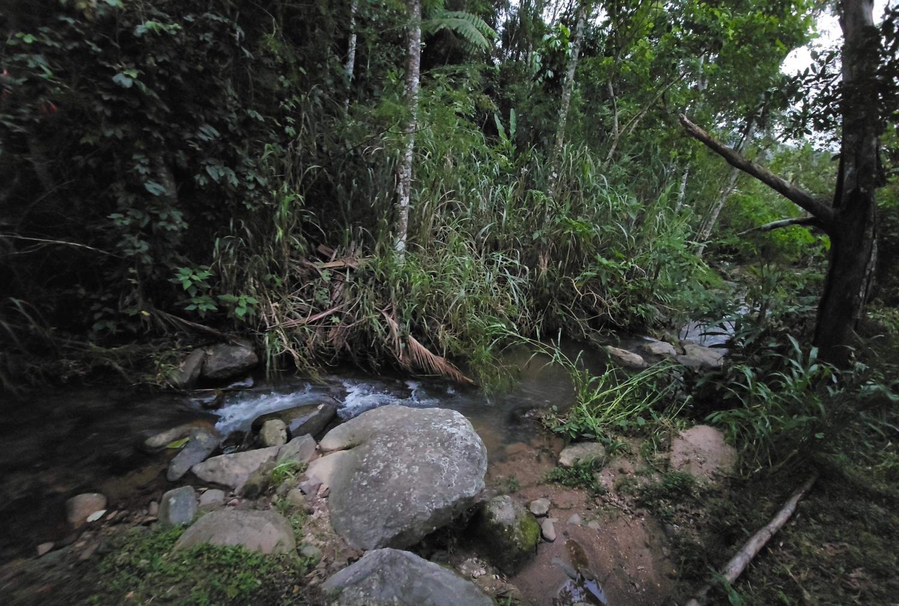 Rio Sereno Suítes - Lumiar