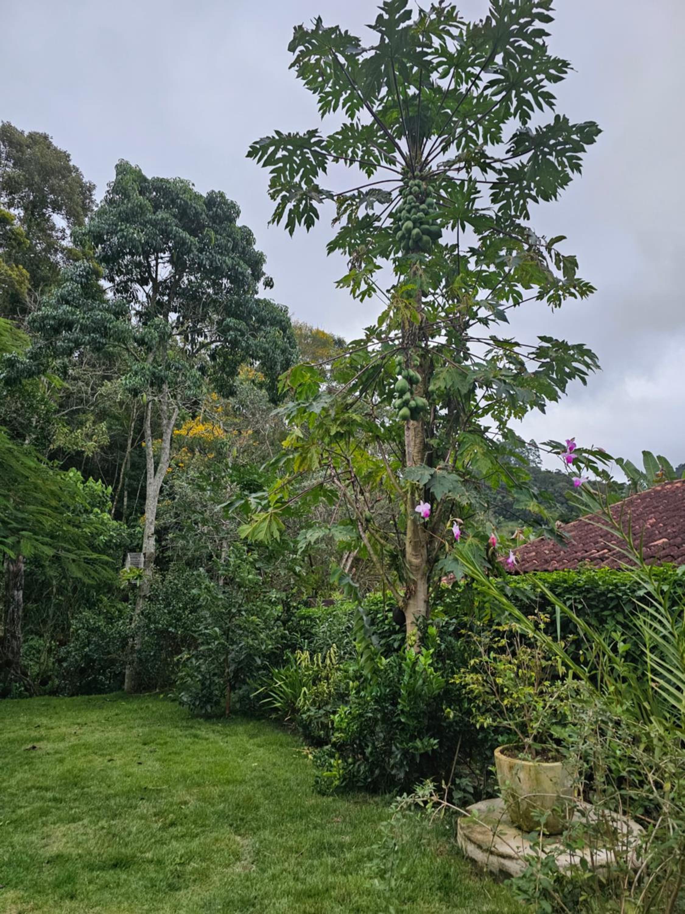 Rio Sereno Suítes - Lumiar