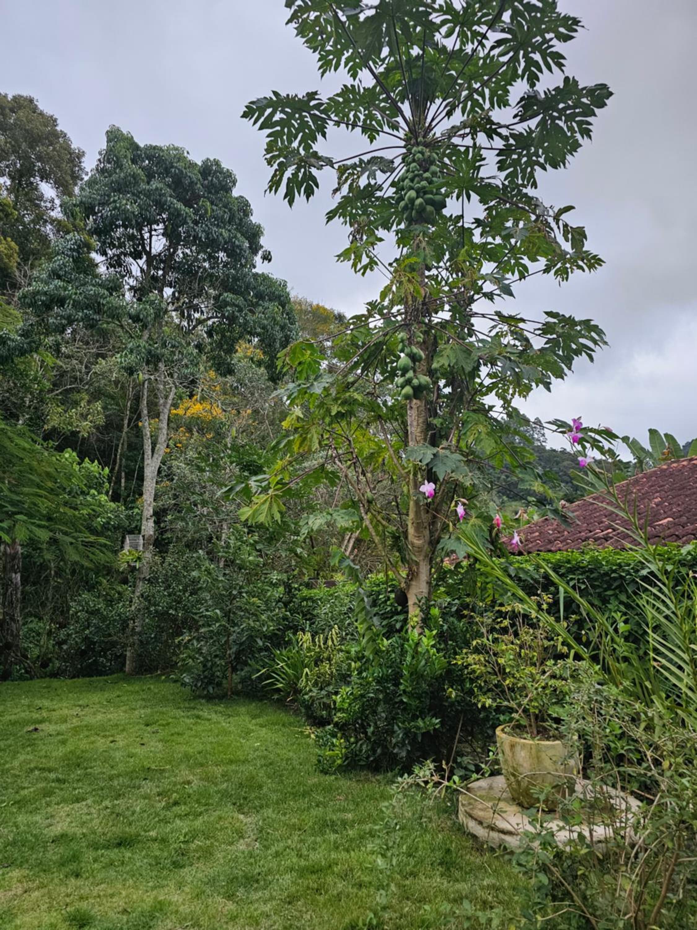 Rio Sereno Suítes - Lumiar
