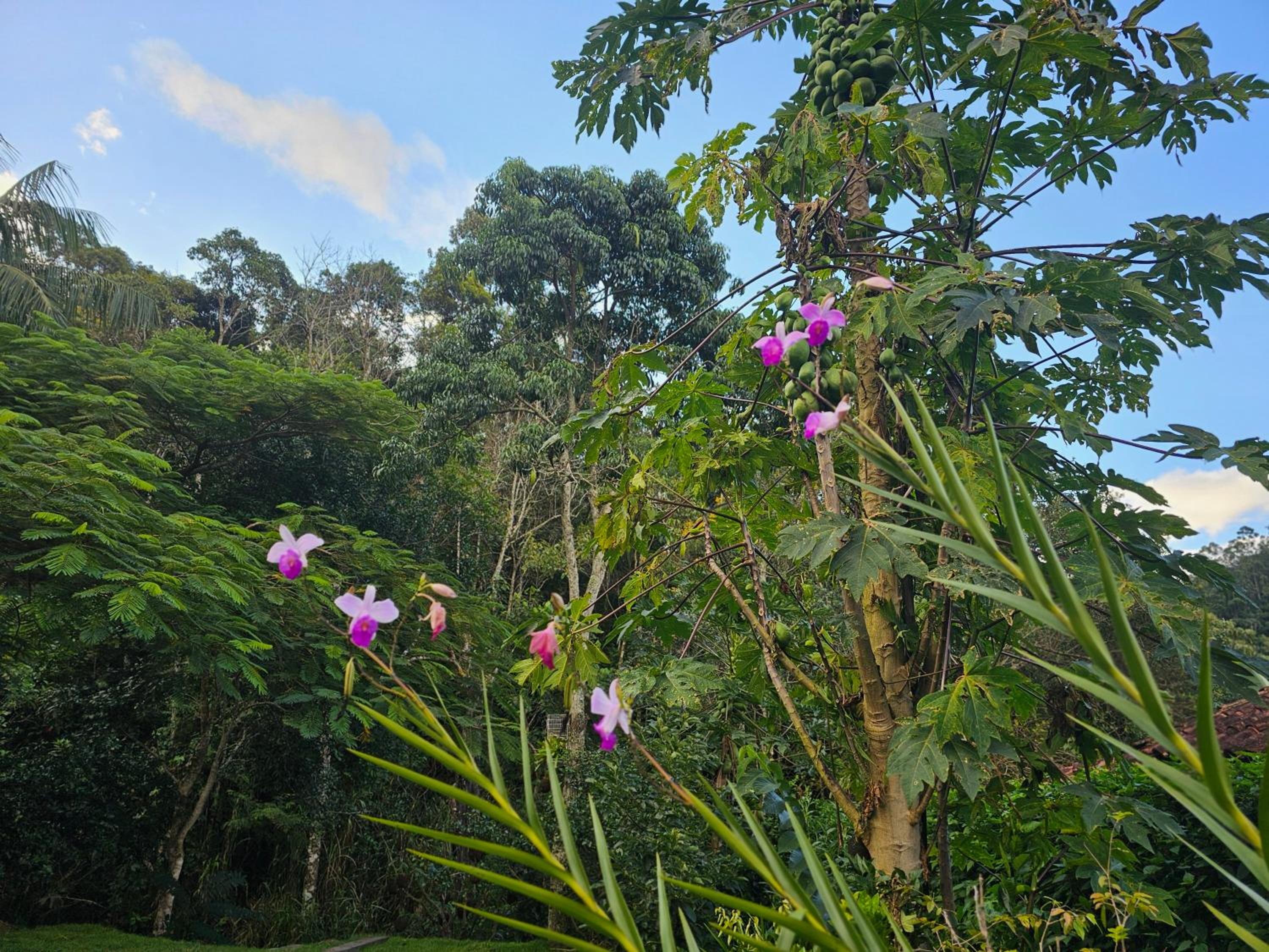 Rio Sereno Suítes - Lumiar
