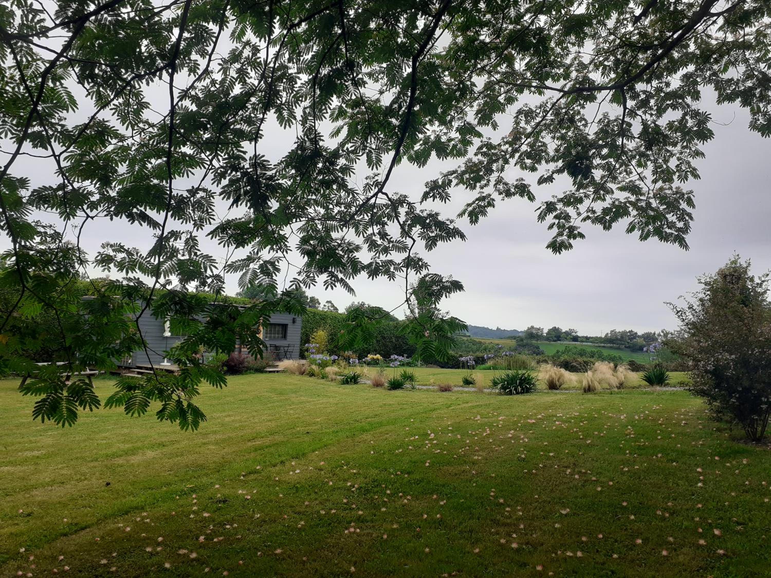 Maison Hamak, photo 12