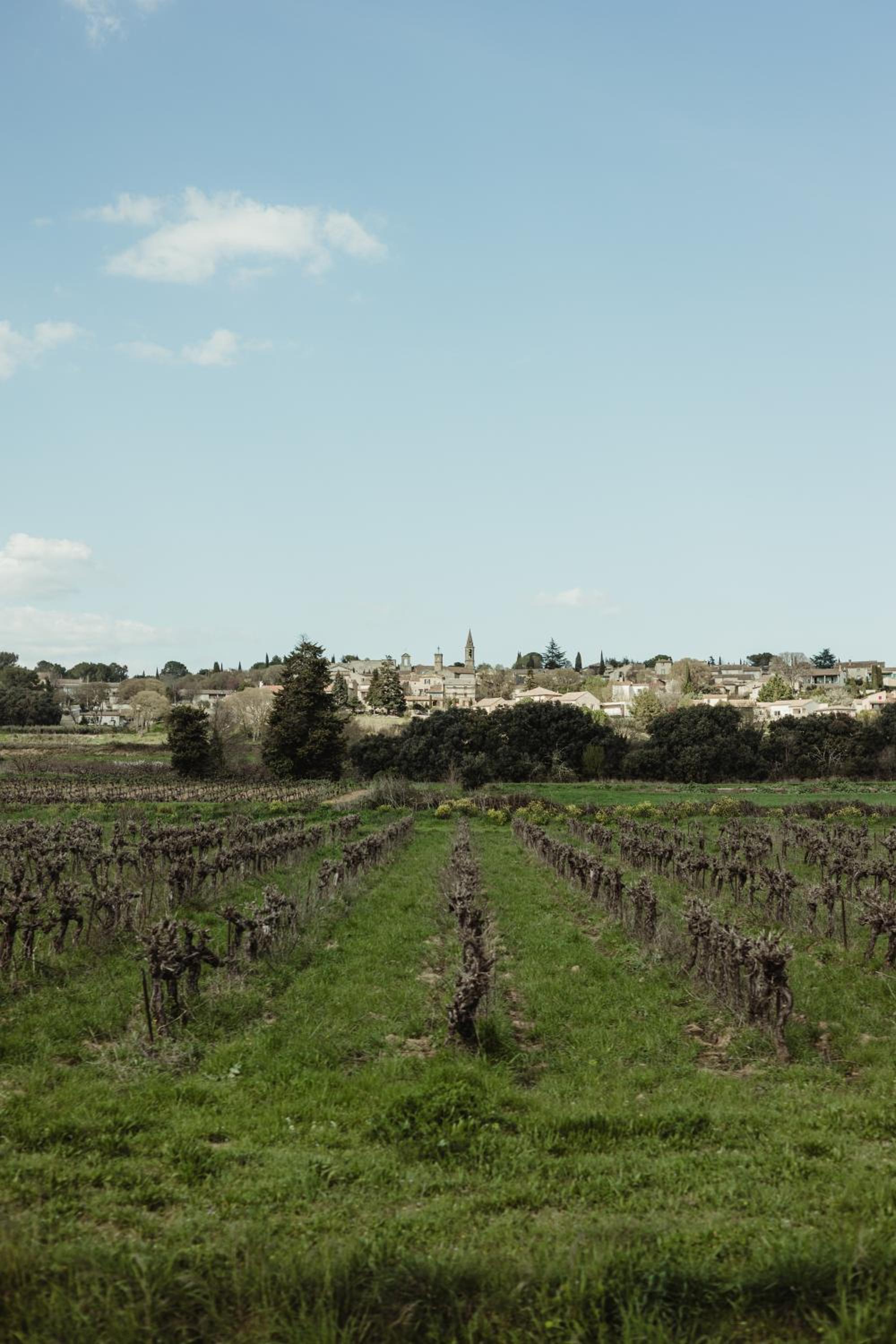 L'Oustal Di Fabre - Villa avec piscine à Vers-Pont-du-Gard
