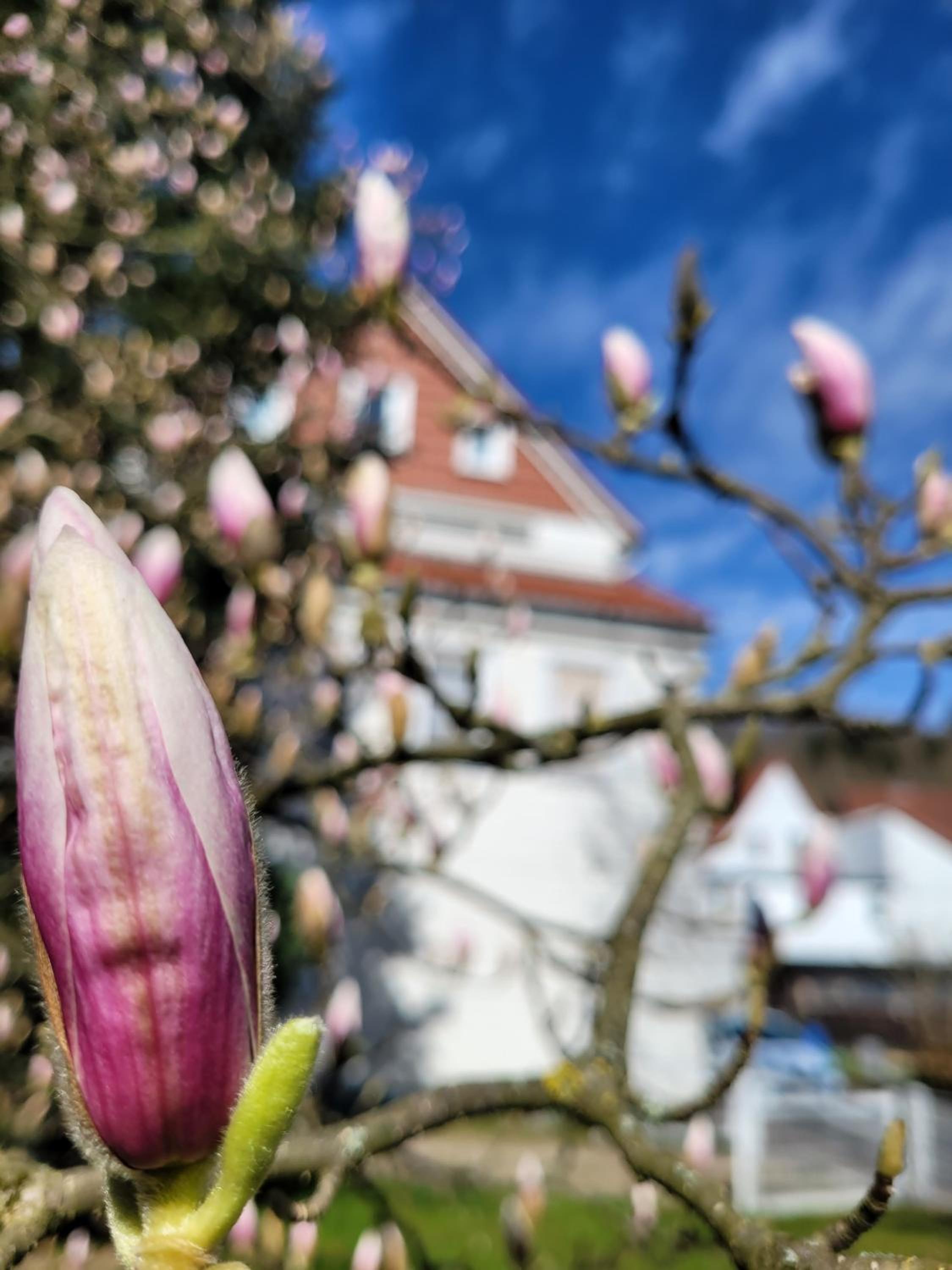 Haus Am Beckerberg im Harz