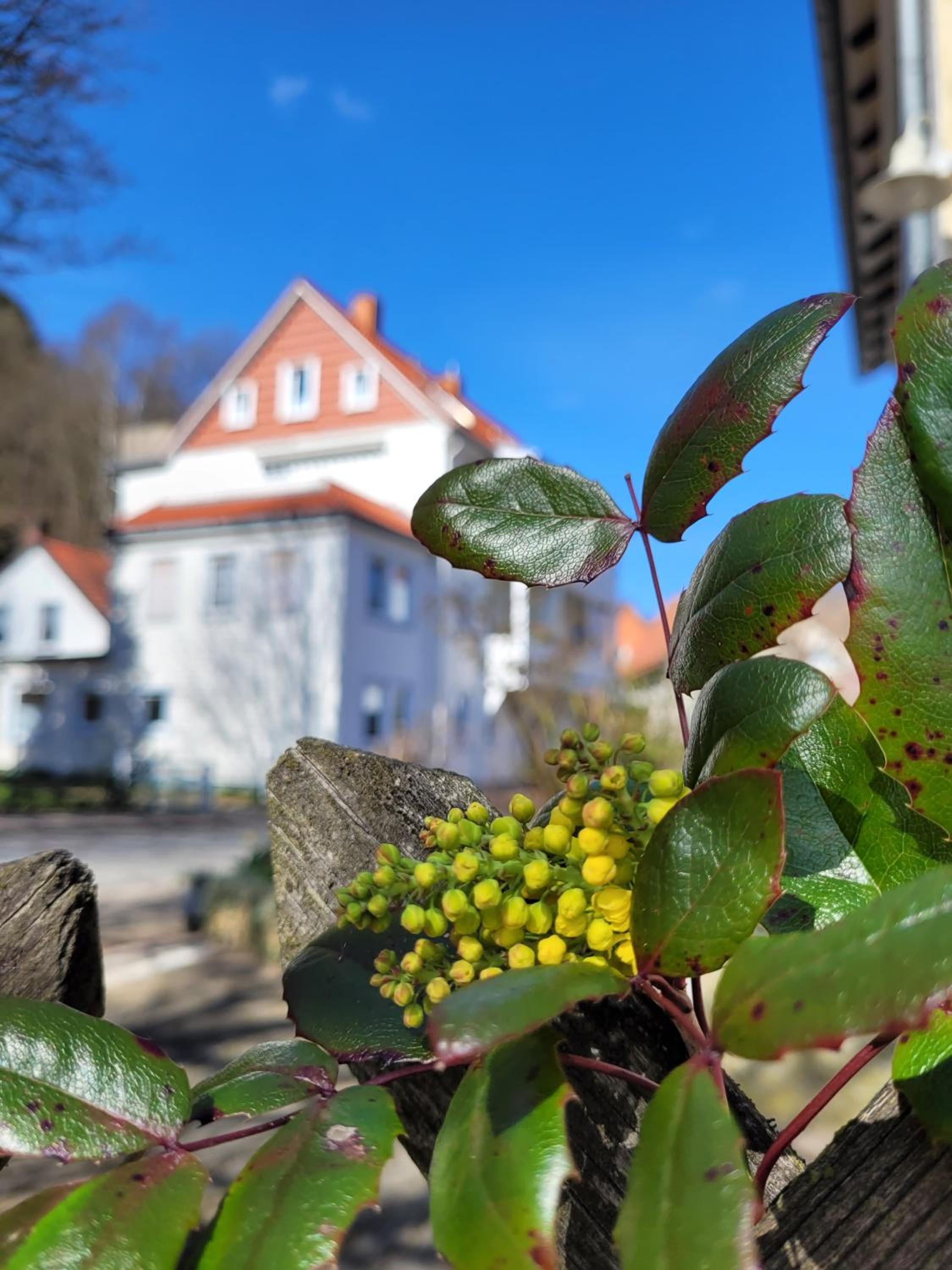 Haus Am Beckerberg im Harz