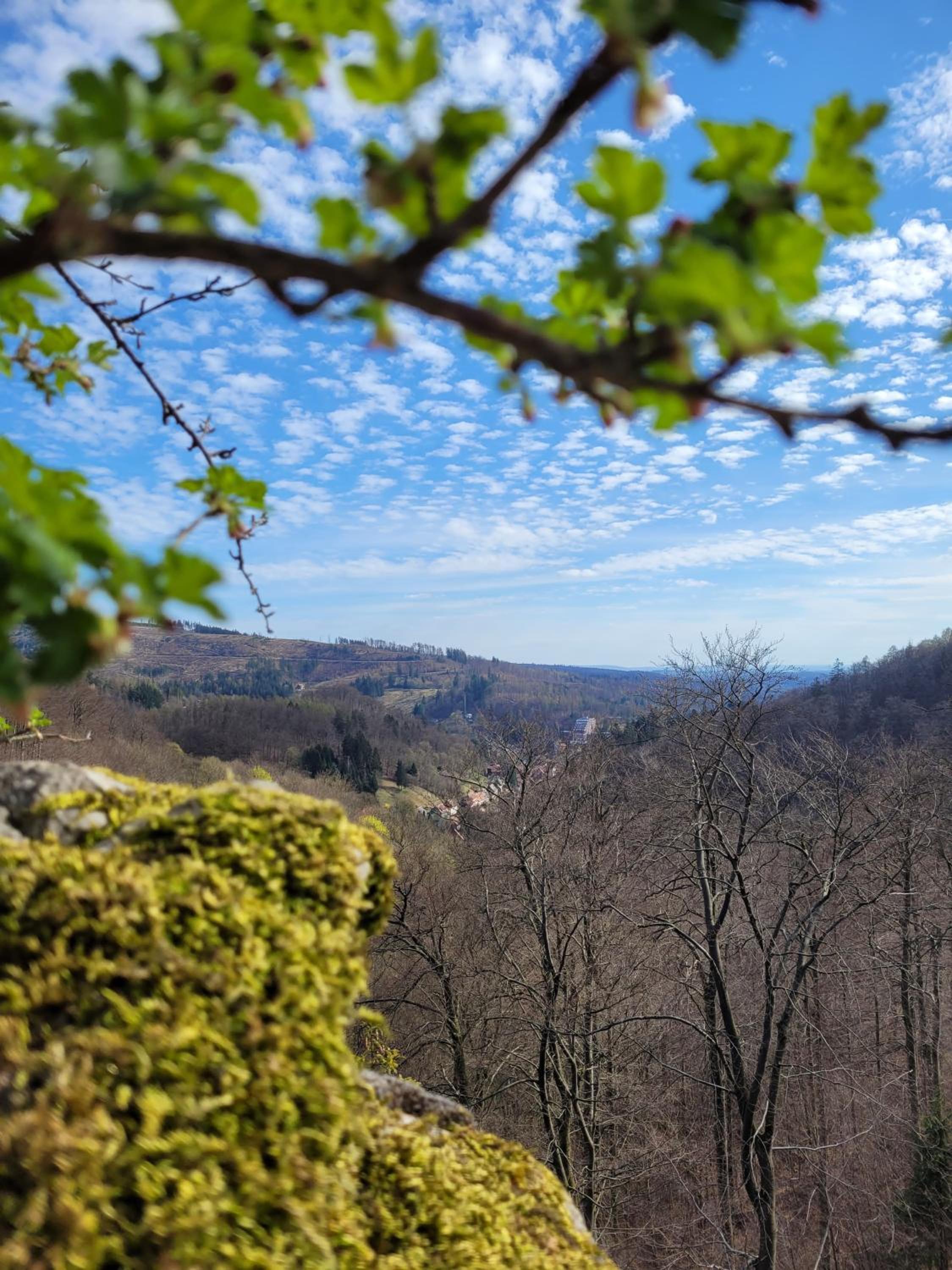 Haus Am Beckerberg im Harz