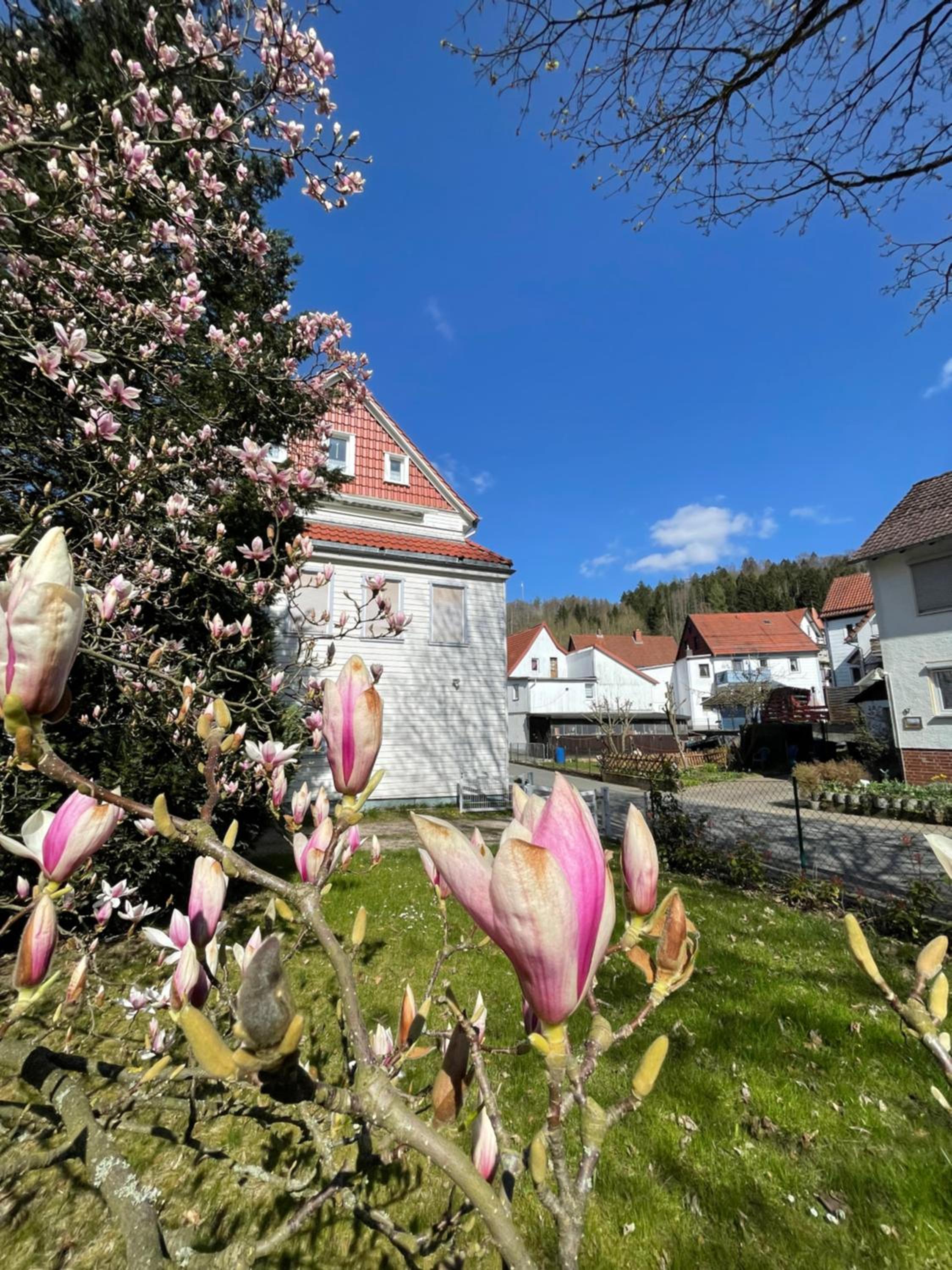 Haus Am Beckerberg im Harz