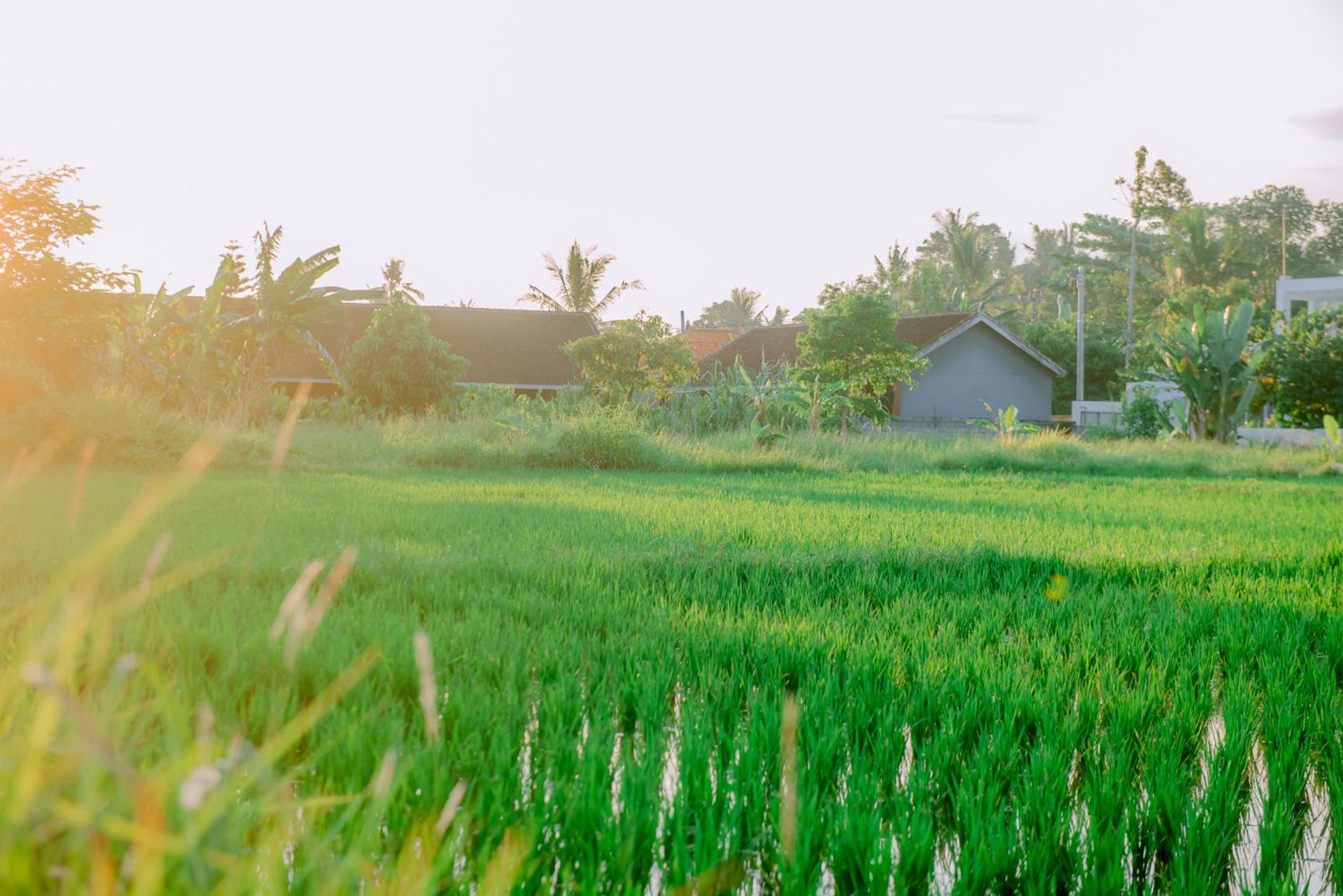 Lavanya Ubud Villas