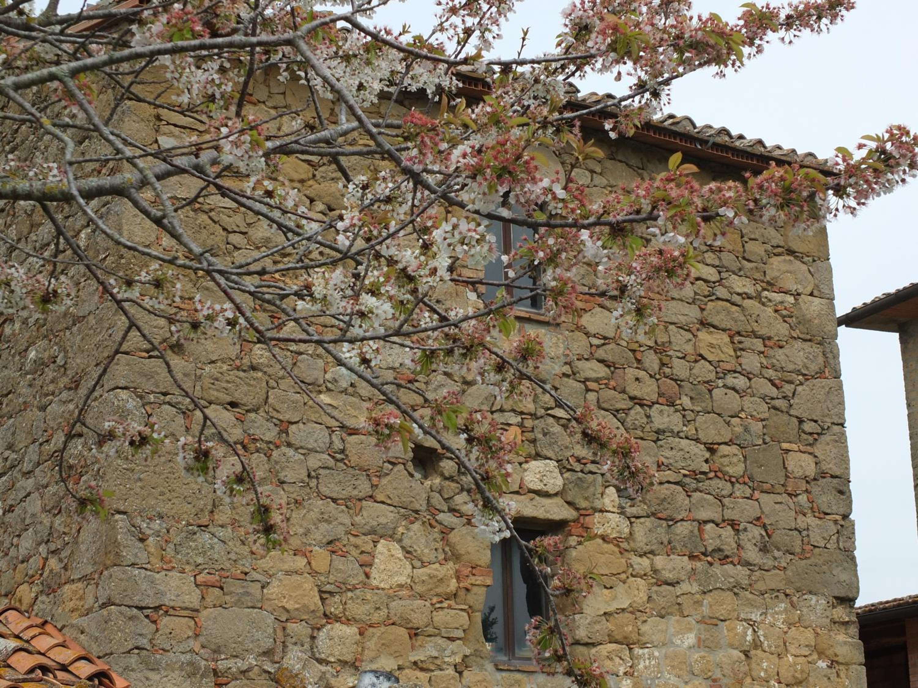 Agriturismo Riposati
