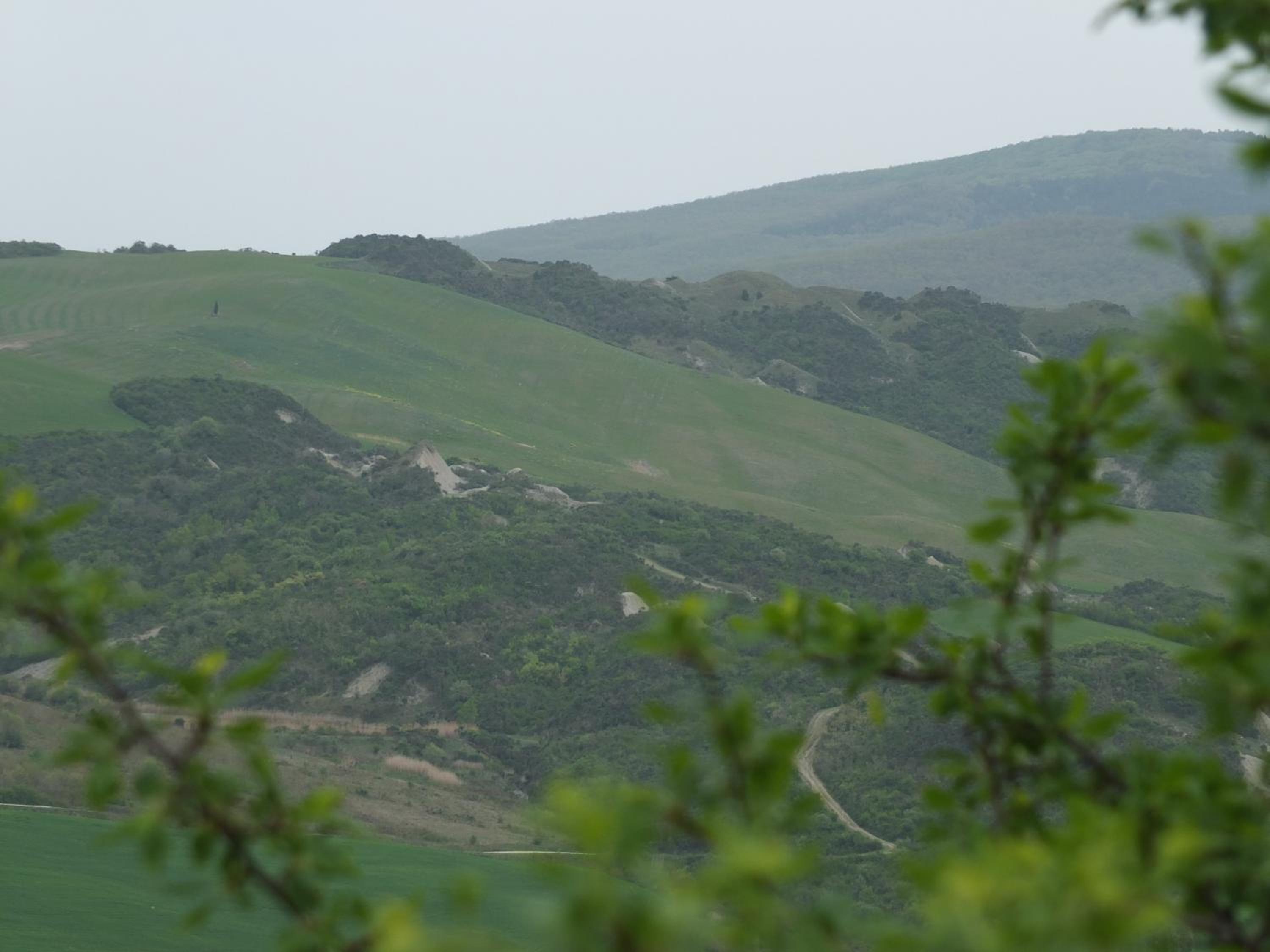 Agriturismo Riposati