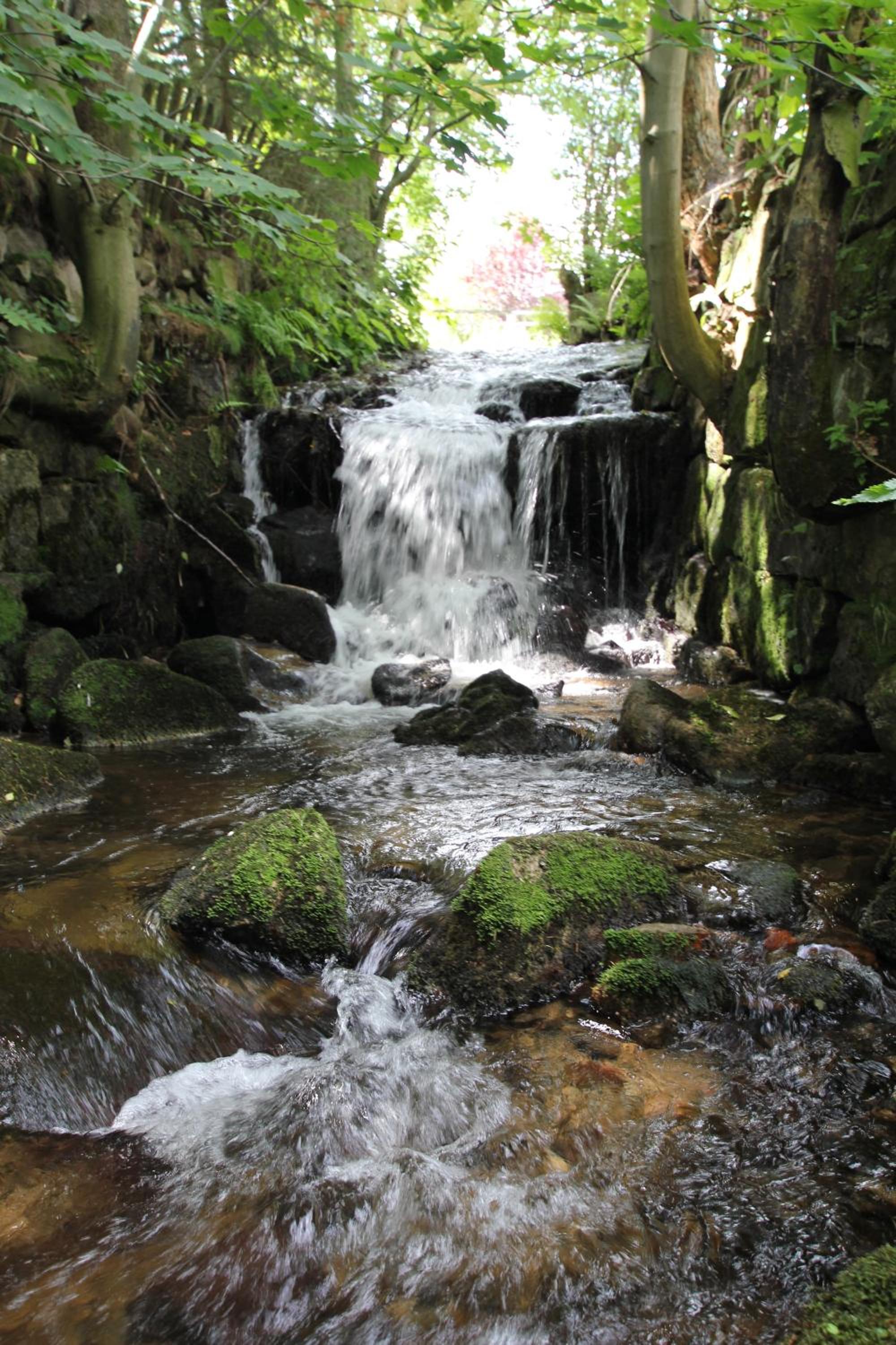 Photo 46